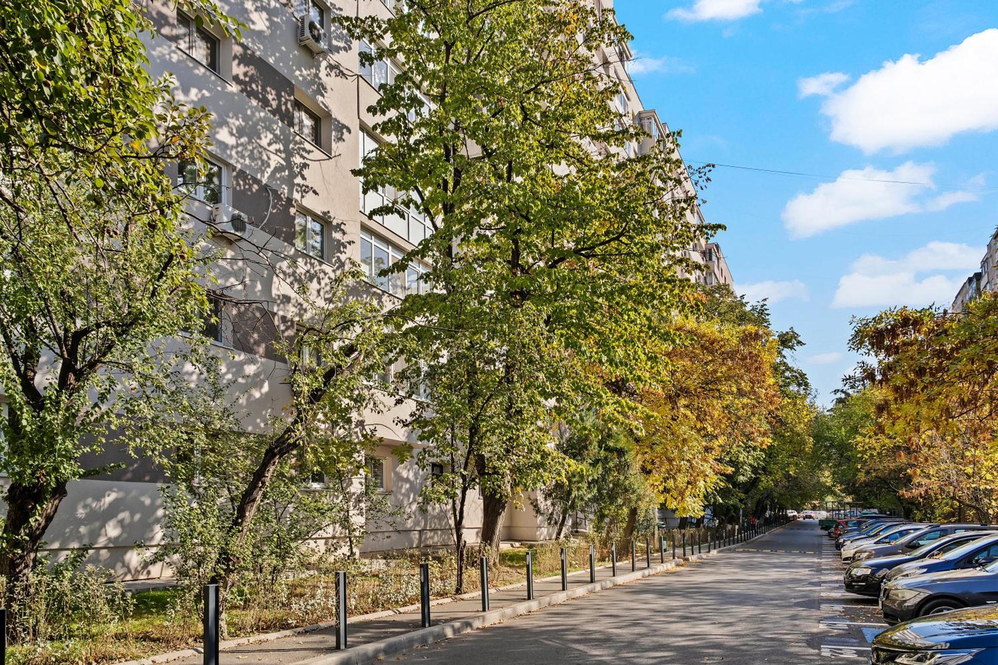 Garsoniera De Lux Si Eleganta Drumul Taberei *