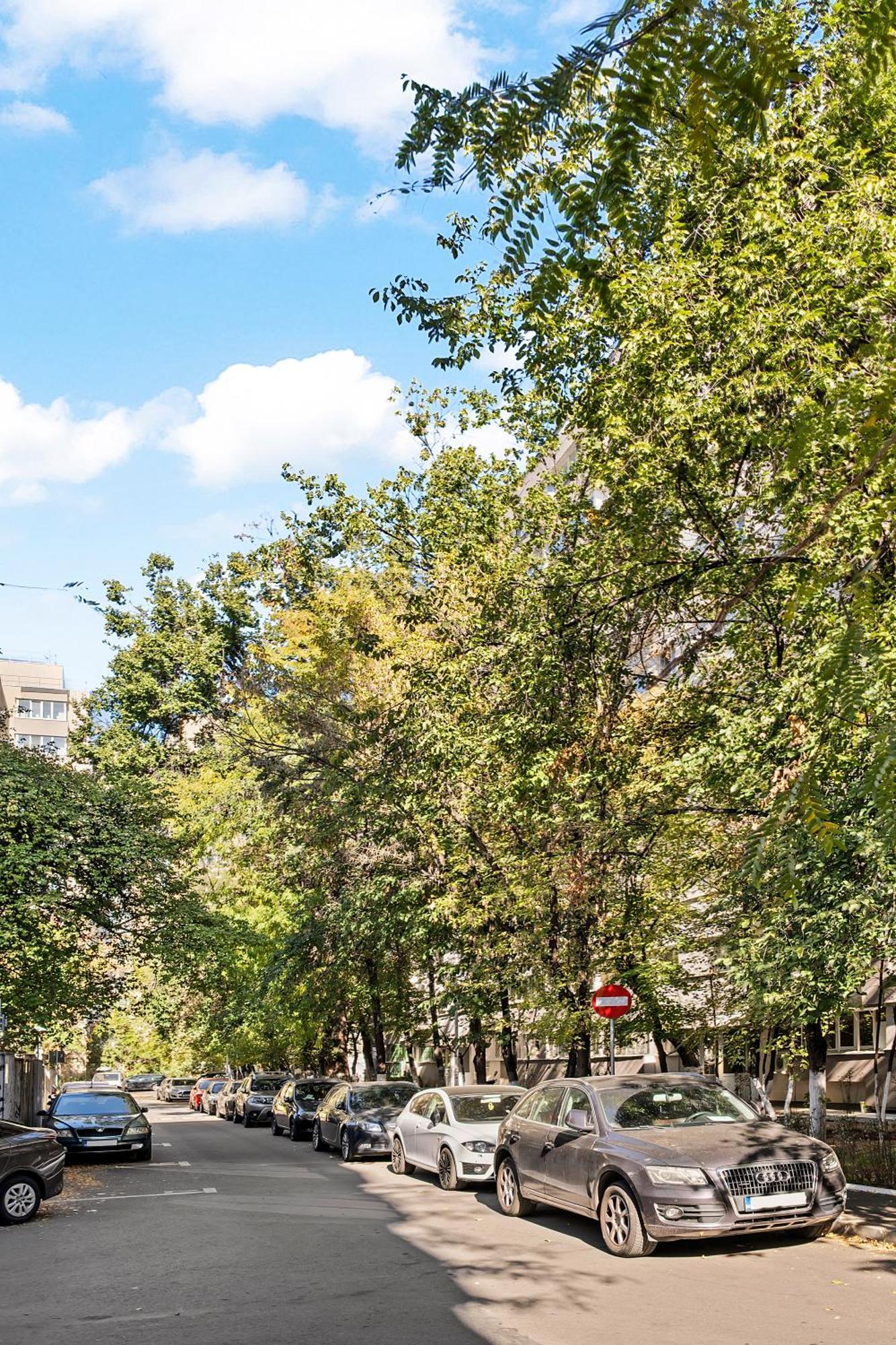 De Lux Drumul Taberei Bucureşti