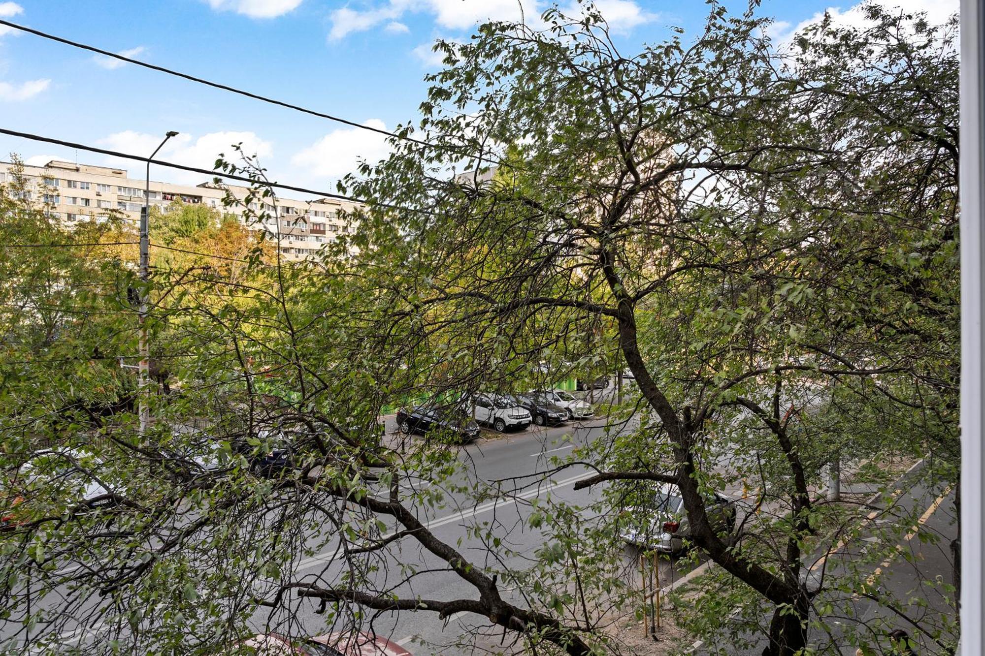 Garsoniera Regim Hotelier Lux Hanul Drumetului Apartment