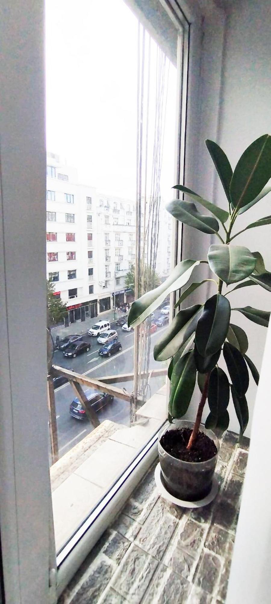 Apartamento Cozy Magheru *