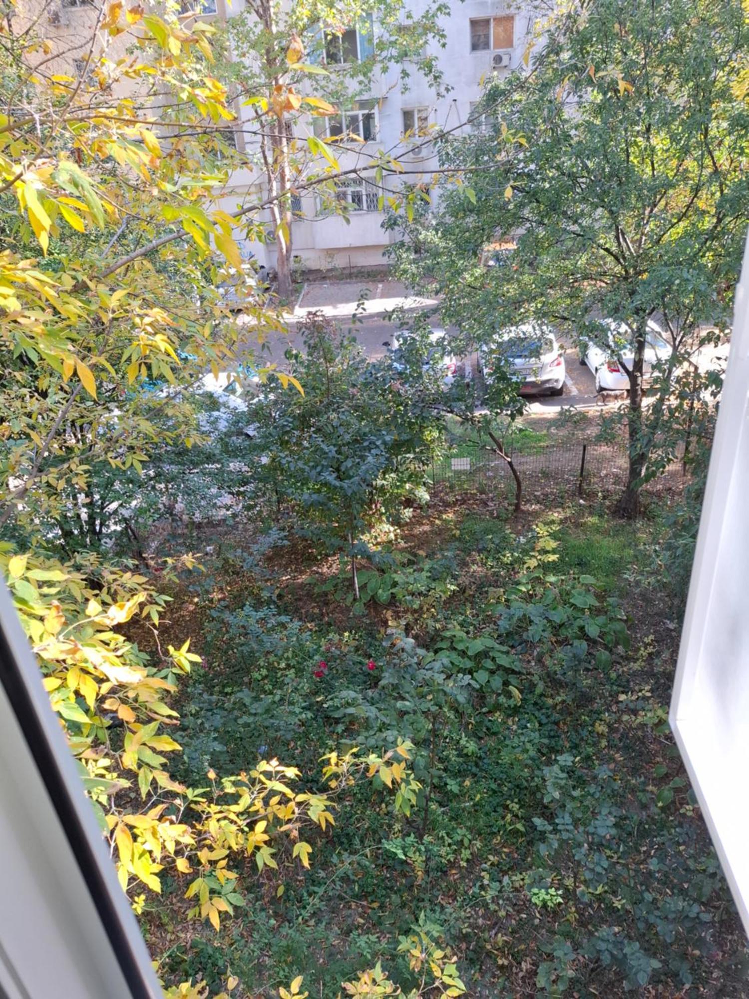 Apartment Orsova Bucharest