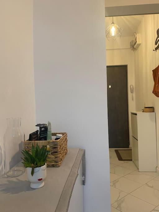 Apartment Modern & Cozy Bucharest