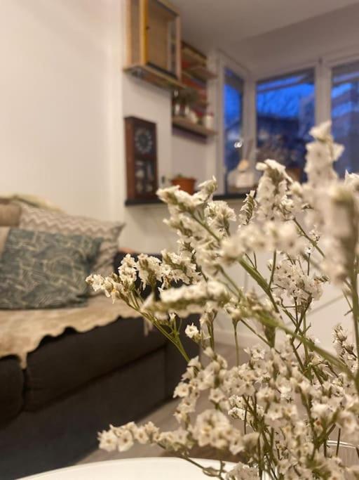 Apartment Modern & Cozy Bucharest