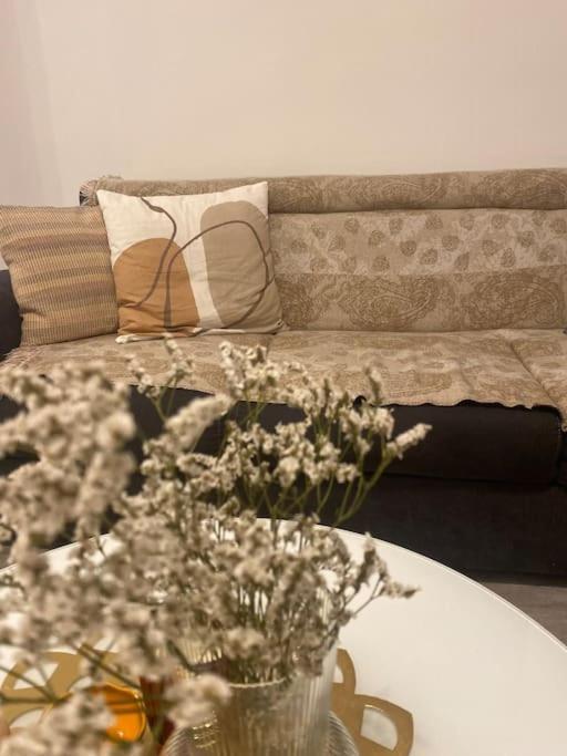 Modern & Cozy