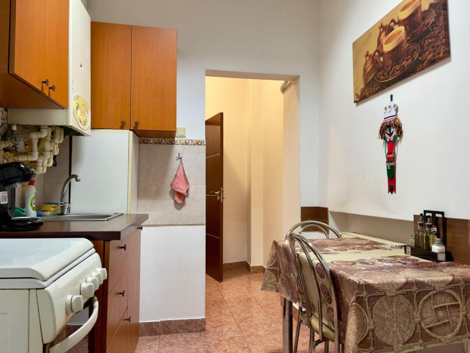Apartament Central Vintage *
