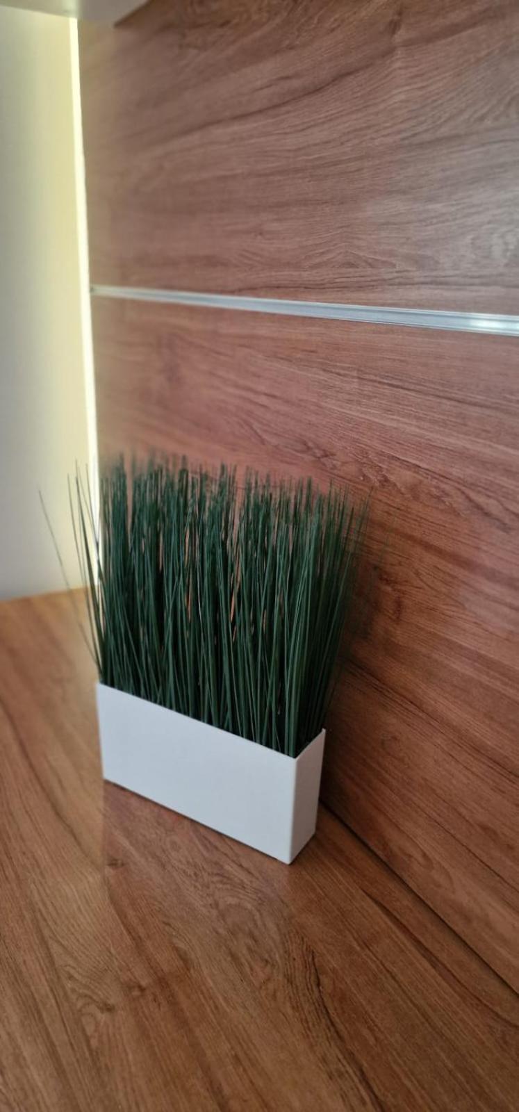 Apartament Carol - Vibes *