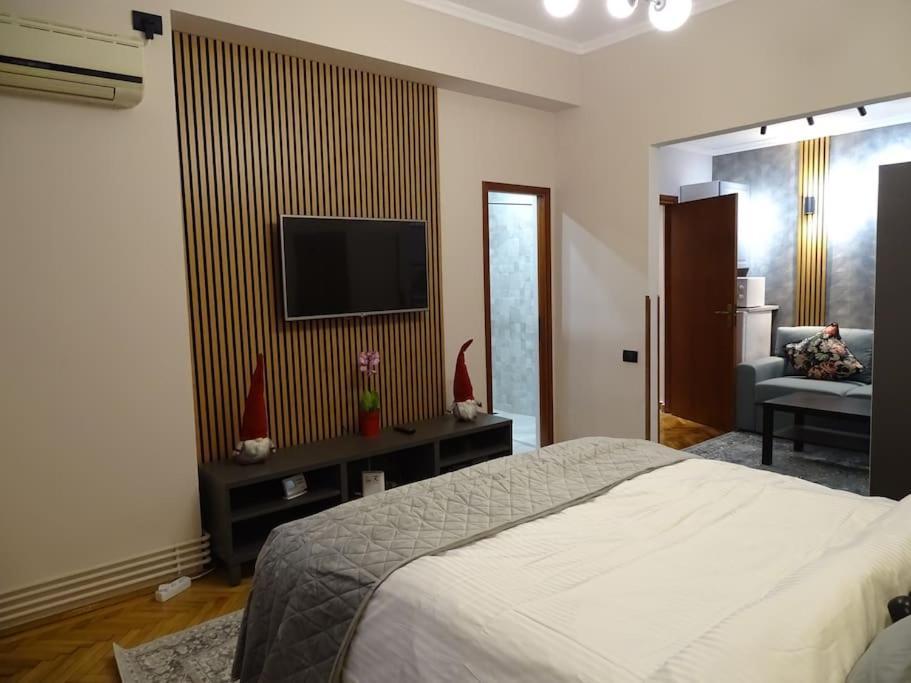 Apartamento Comfort & Style - Calea Victoriei