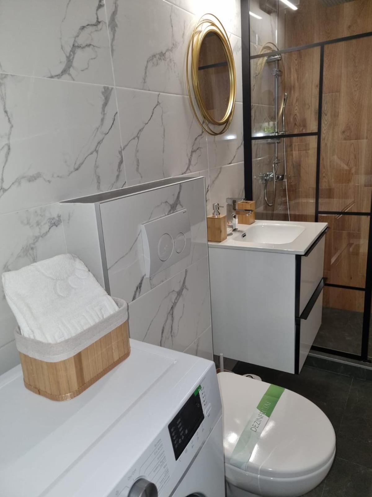 Luxury Downtown Calea Victoriei Apartment