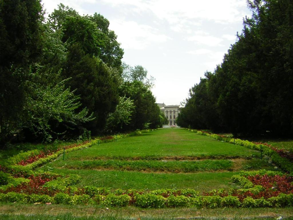 Royal Palace -center By Ale Apartment Bucharest