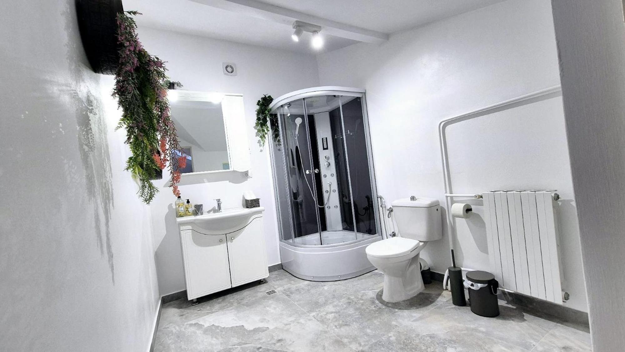 Apartment Boutique Old 5 Bucharest
