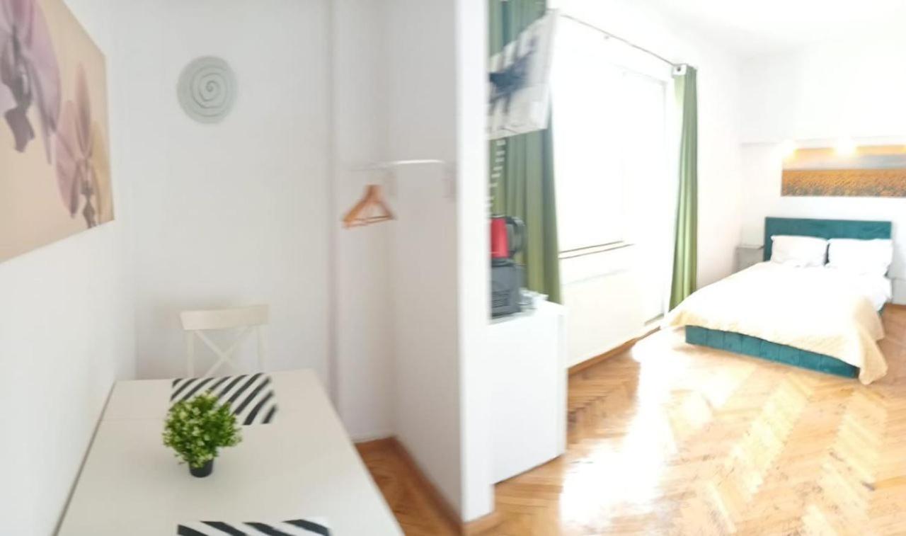 Apartamento Anastasia Balcescu 1 Beautiful View Self Check In Code From 2 Pm Only Microwave *