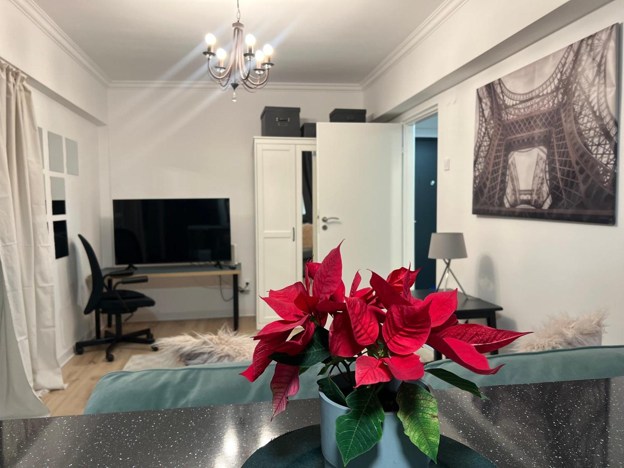 Cosy Floreasca Apartamento
