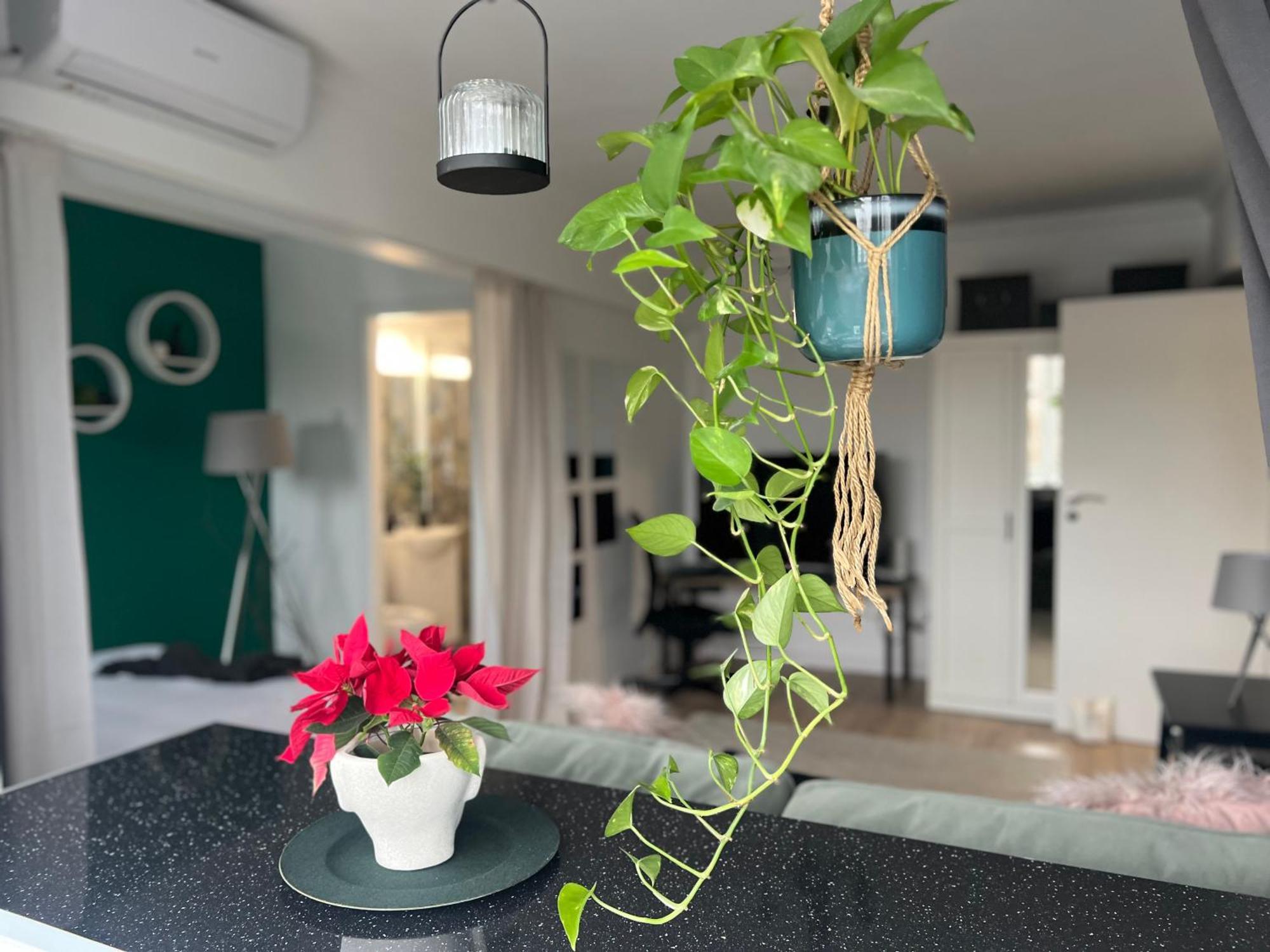 Cosy Floreasca Apartamento Bucareste