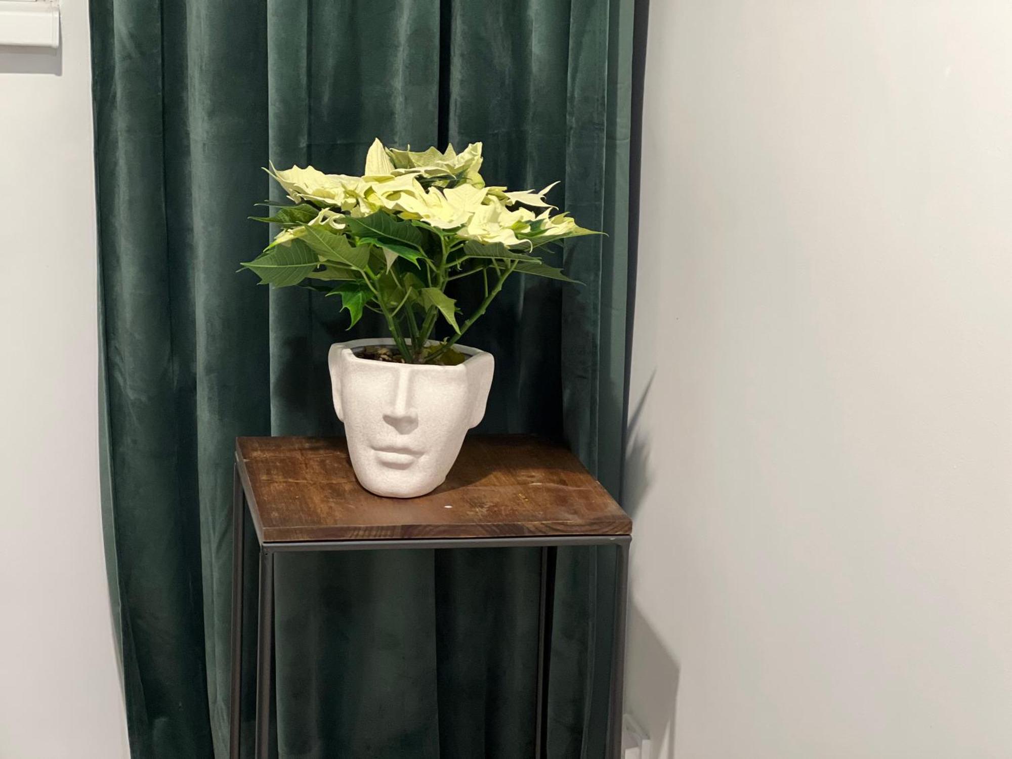 Cosy Floreasca Apartamento *