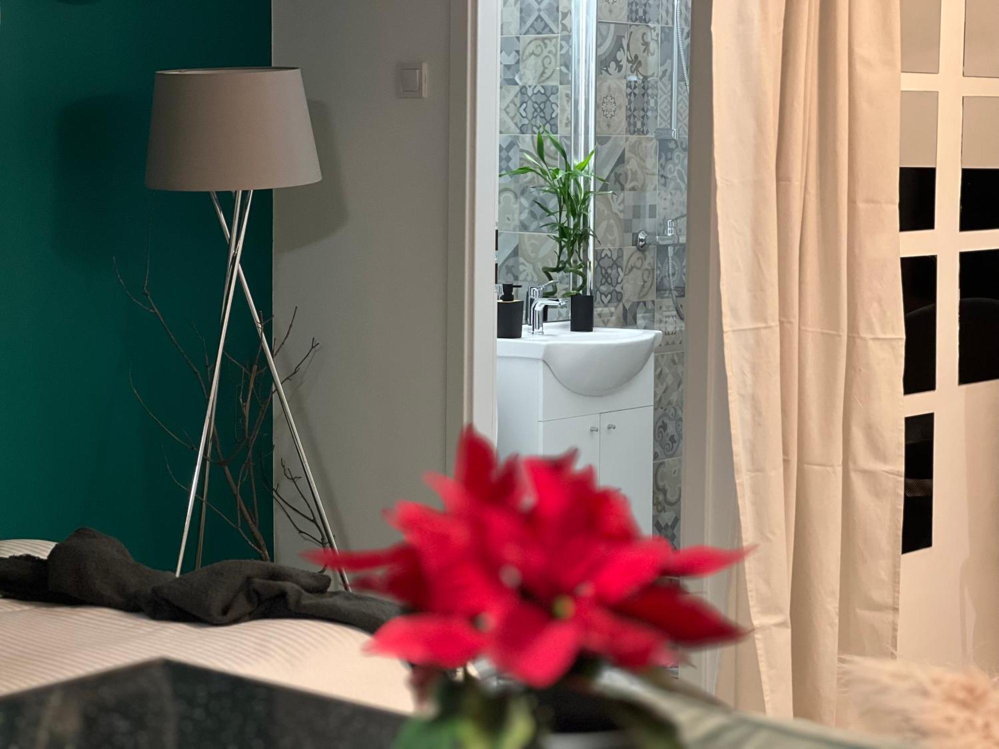 Cosy Floreasca Apartamento *