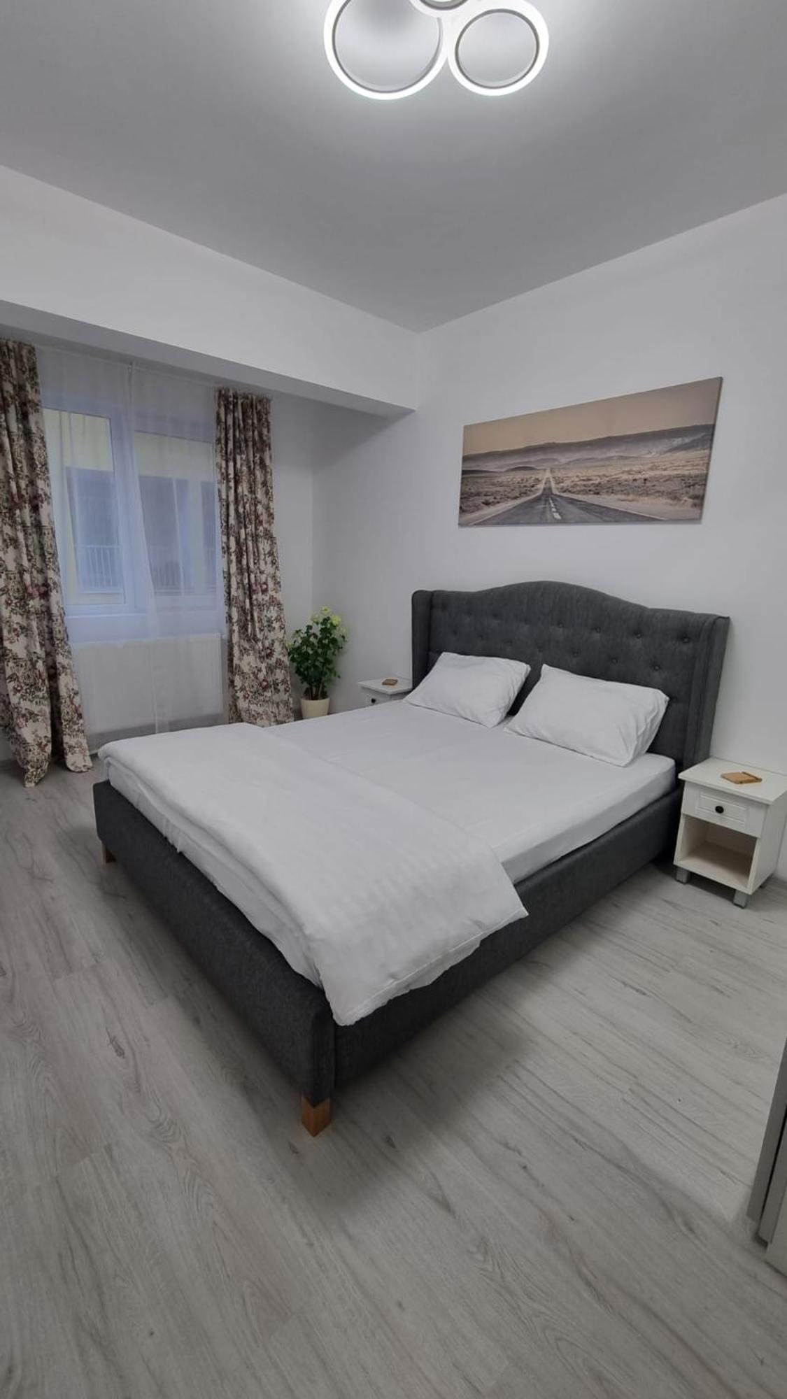 Cozy Pallady *