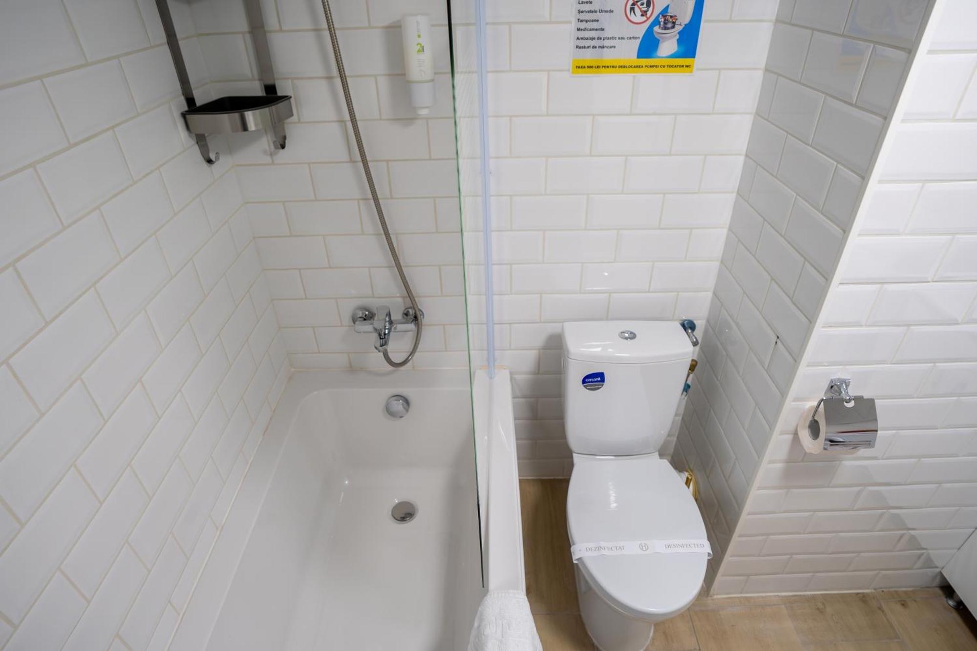 Lovely Duplex Cismigiu Park - Pop1 *