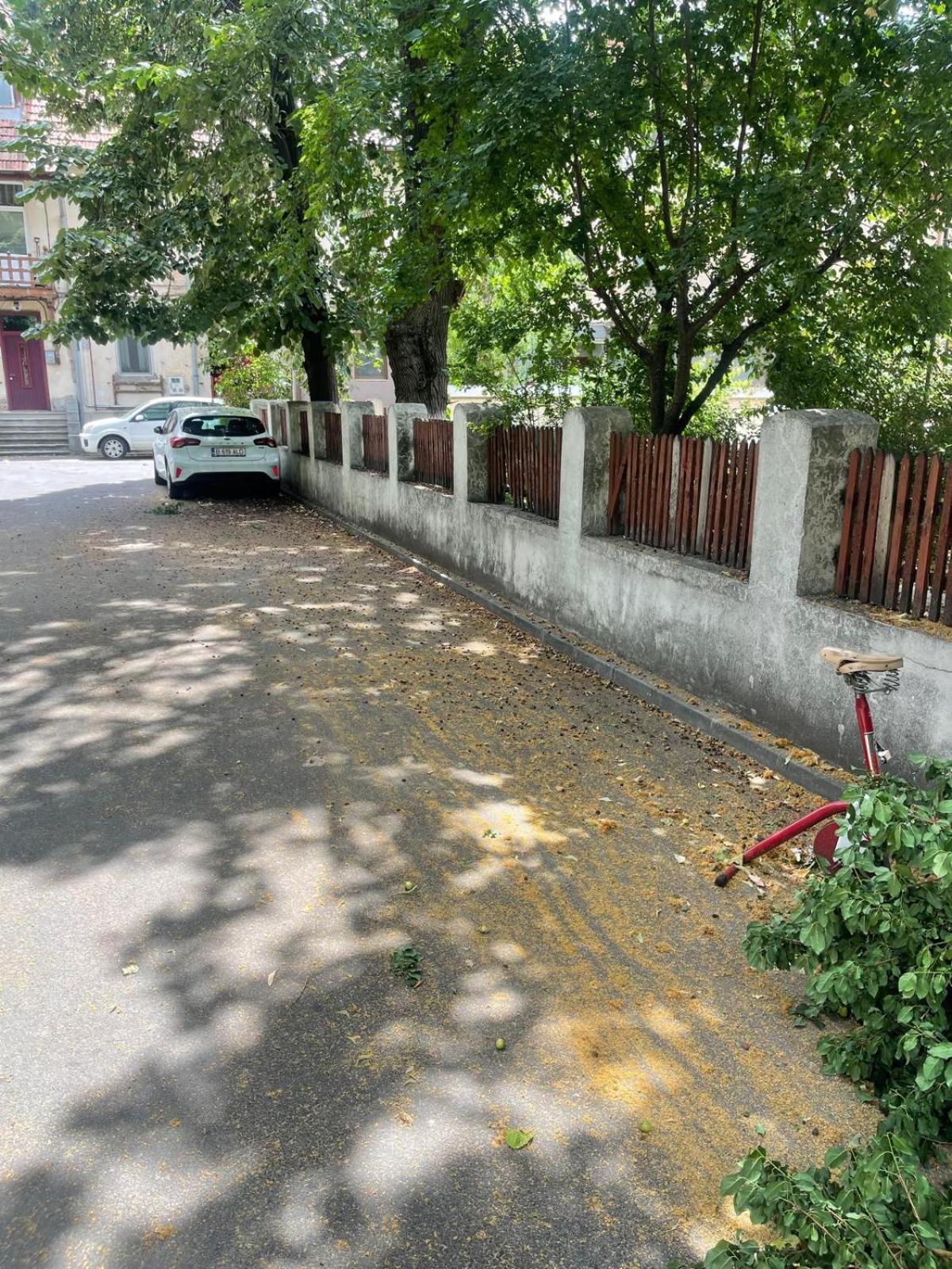 Prime 4 * Bucharest