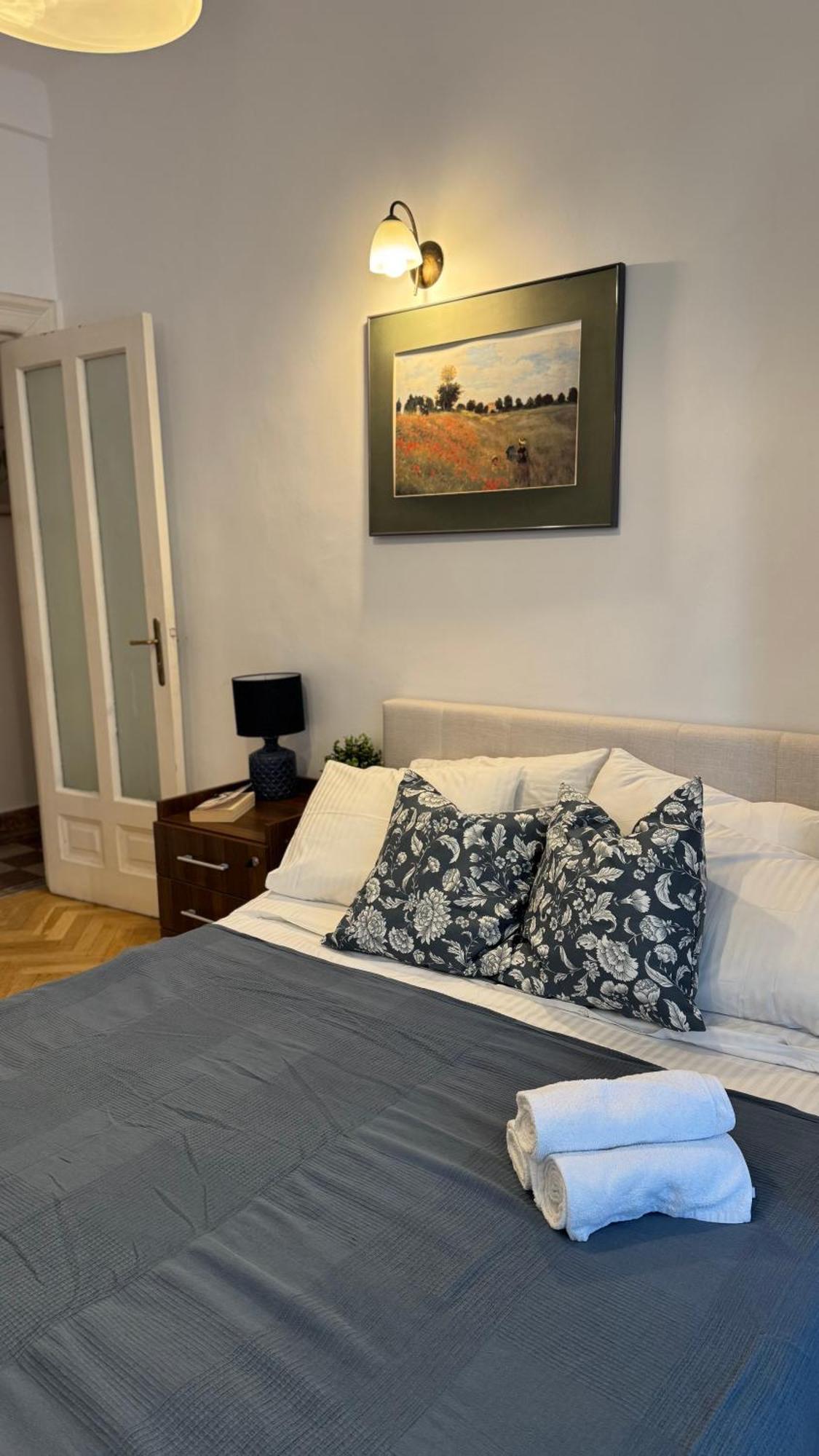 Apartament Cismigiu Elegance