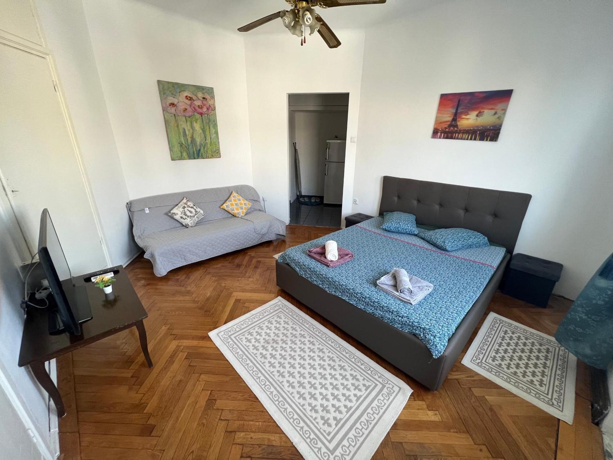 Unirii Downtown Apartament *