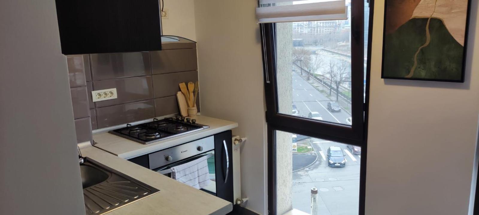 Bucur Apartament *