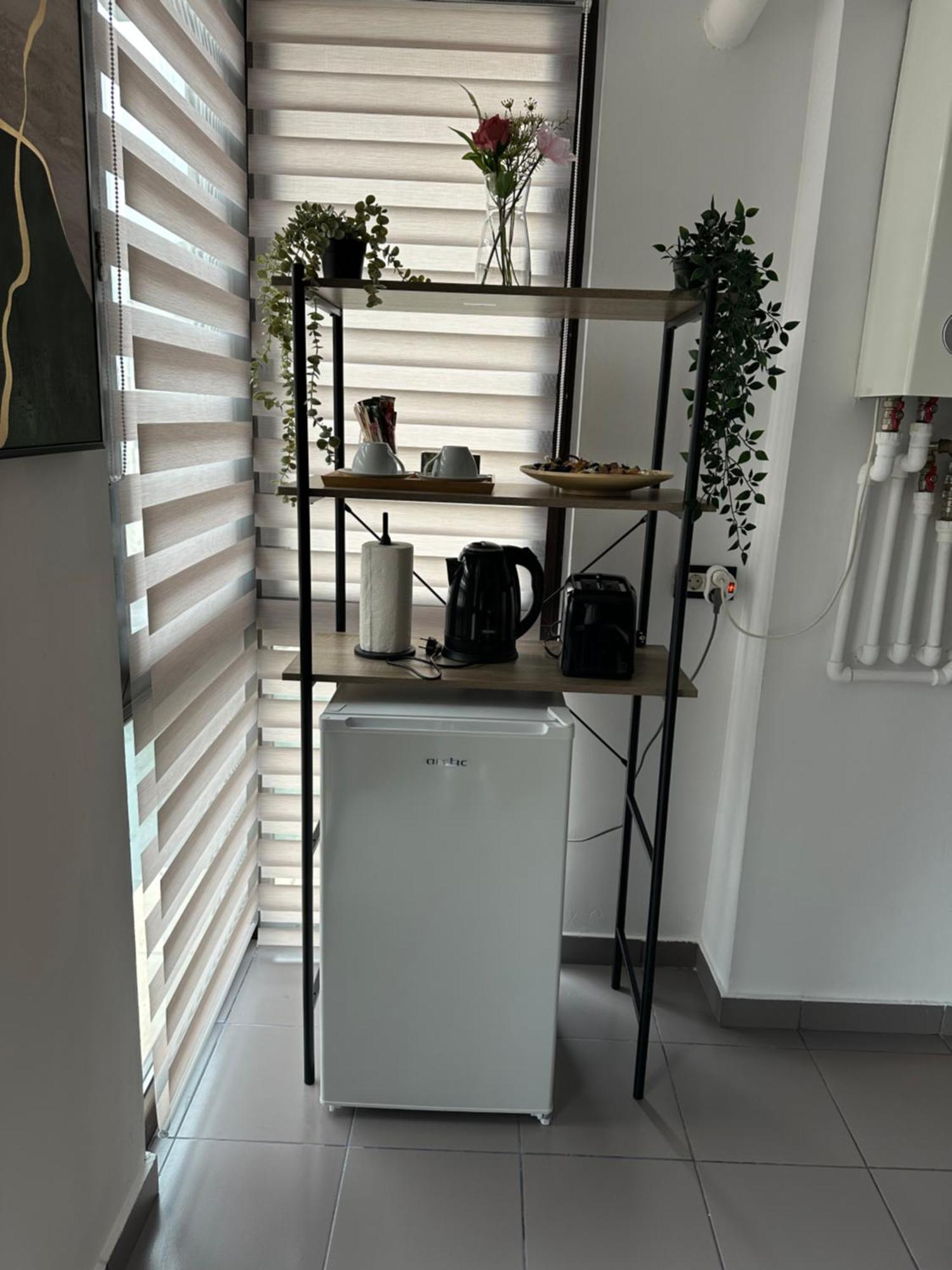 Apartament Bucur