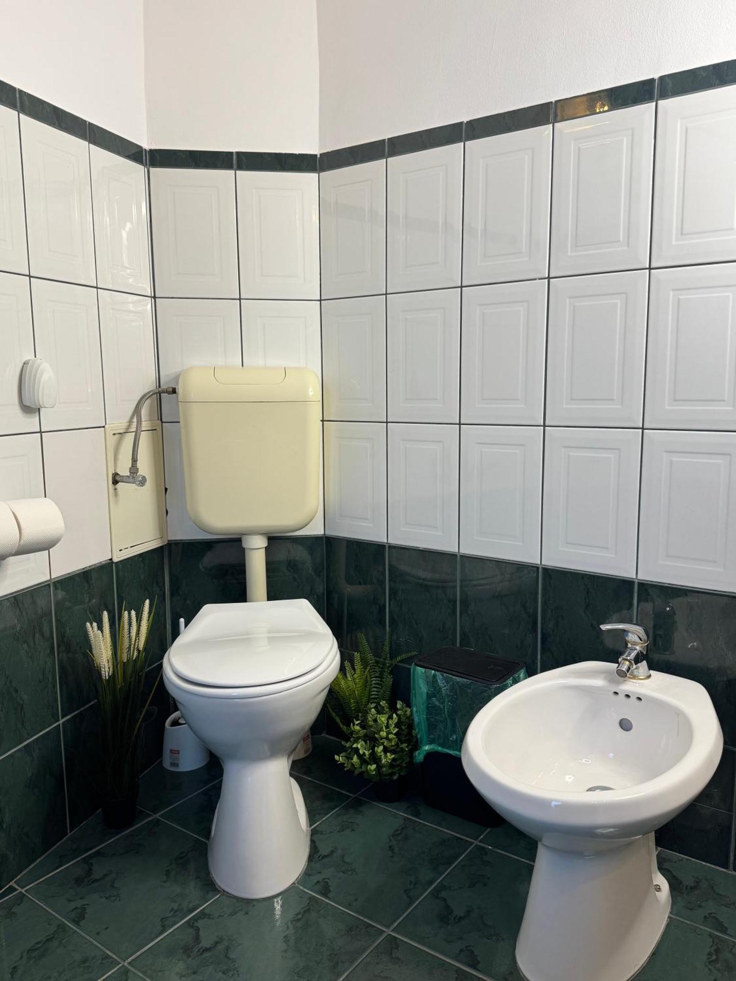 Apartment Romantic Bathtube Cismigiu Park 2 *