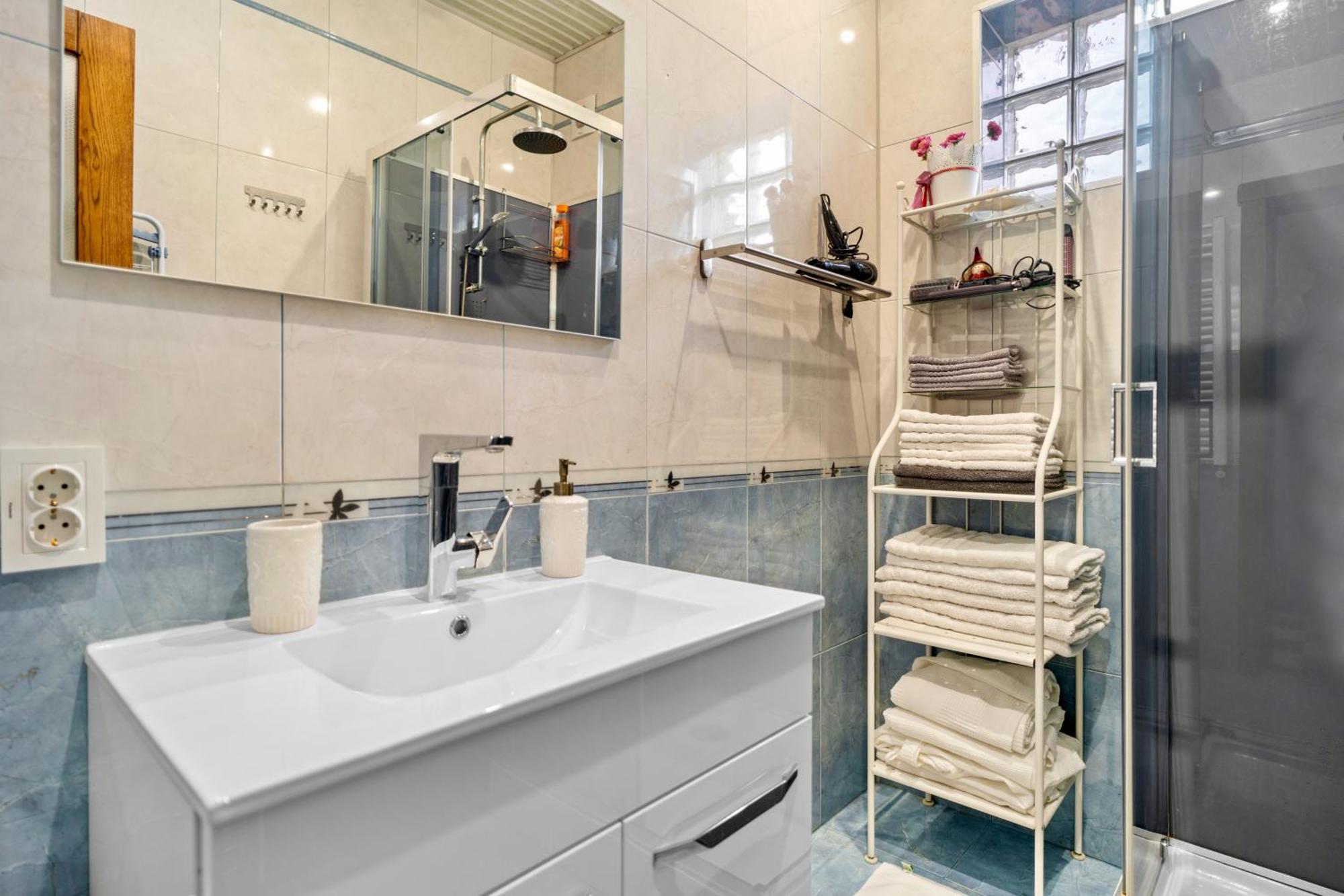 Luxurious With Lush Garden And Huge Terrace Near Herastrau Park