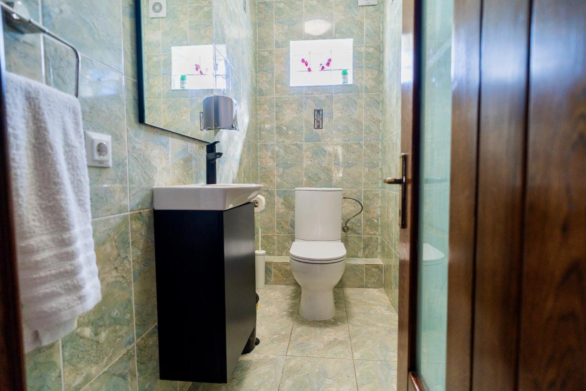 Luxurious With Lush Garden And Huge Terrace Near Herastrau Park