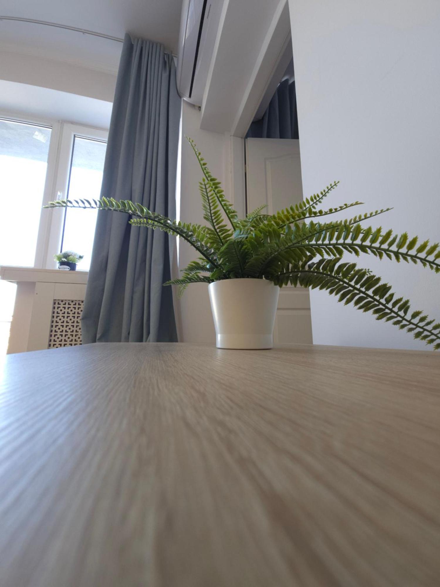 Atheneum Apartament *