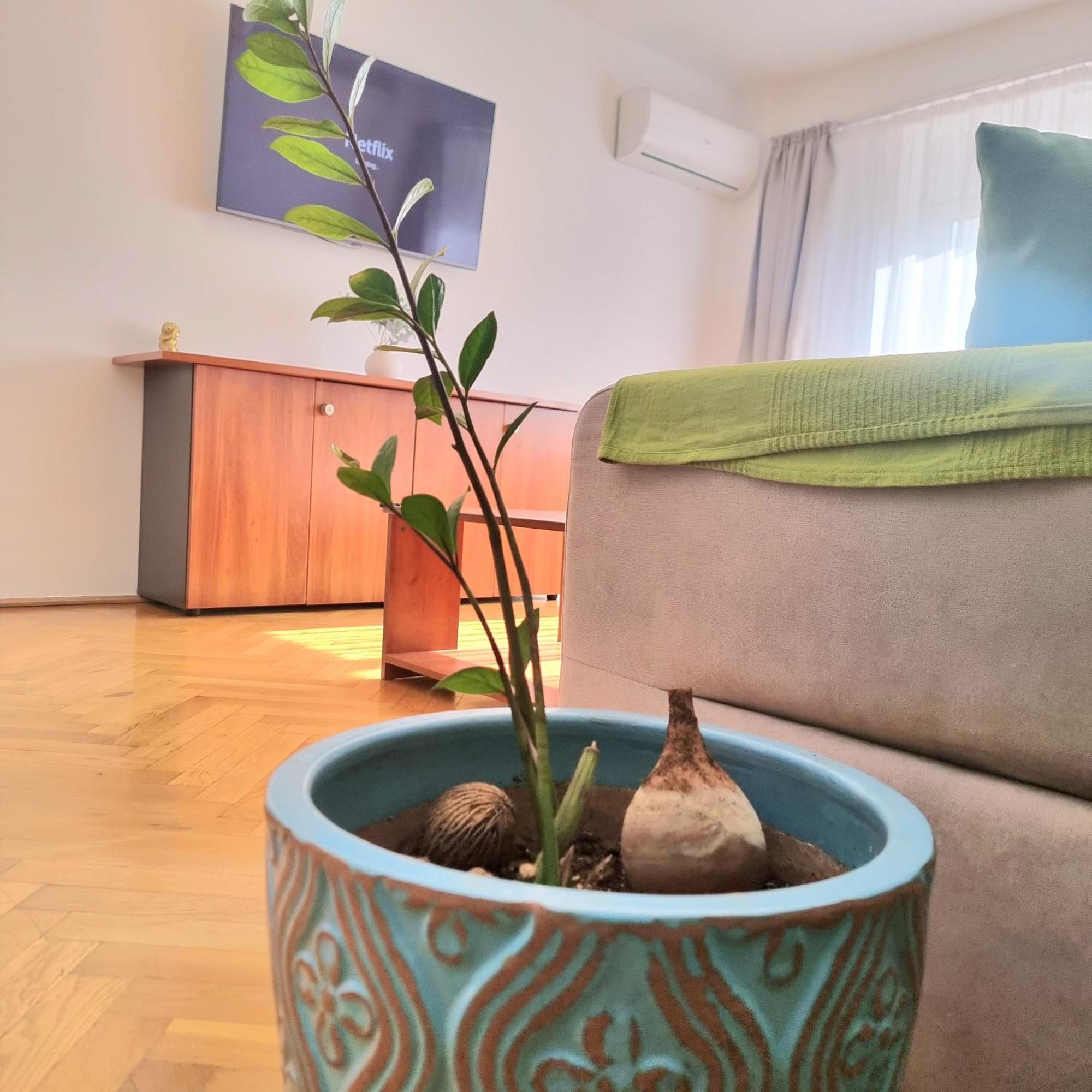 Apartament Tranquil Unirii - Airy & Comfy With Parking - Next 2Parliament *