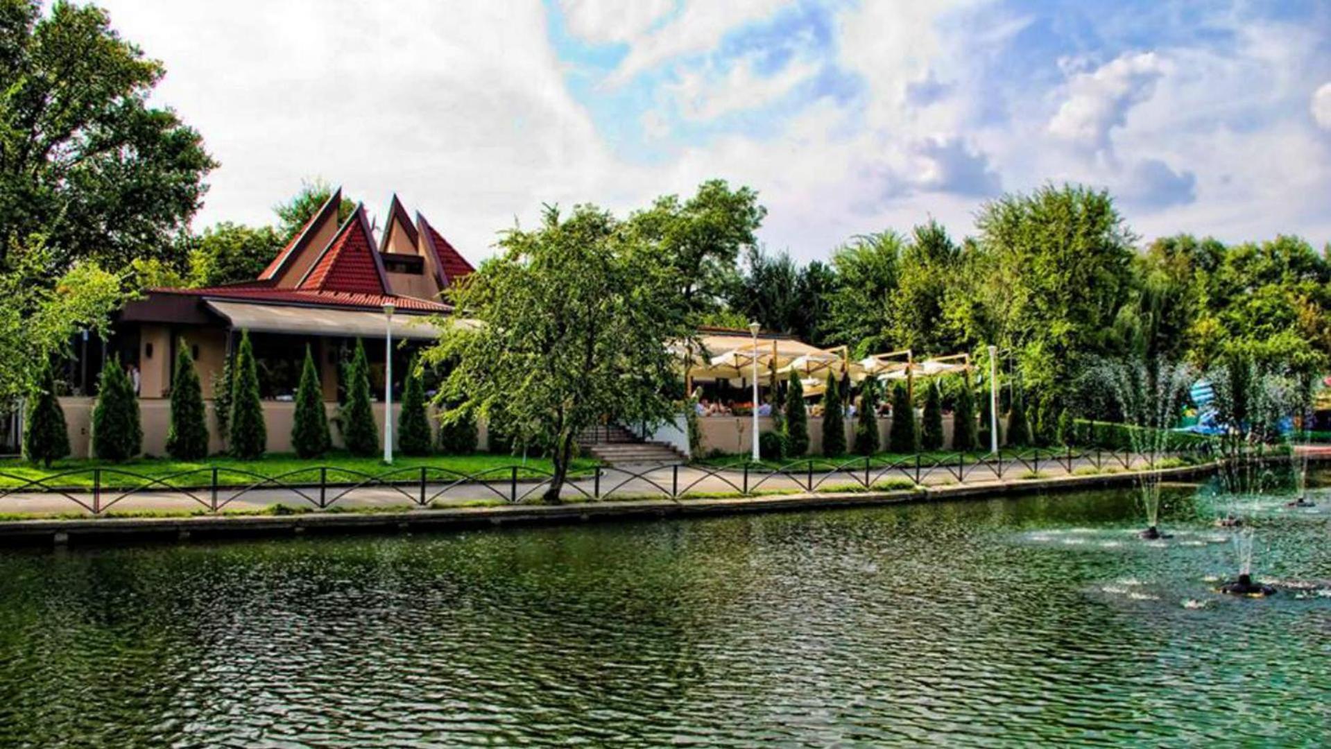 Aldira Arena Nationala * Bucharest