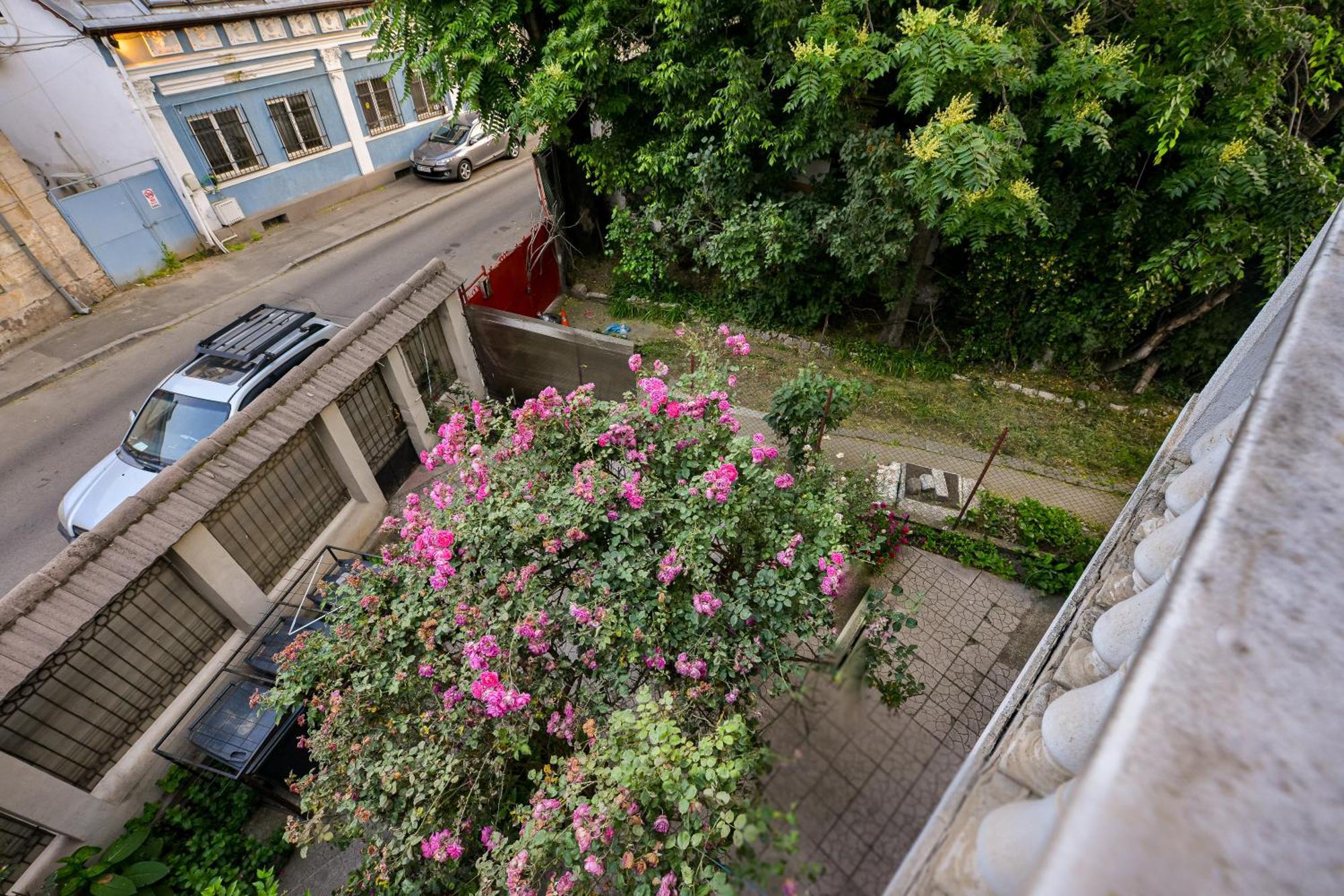 Apartment Old Town