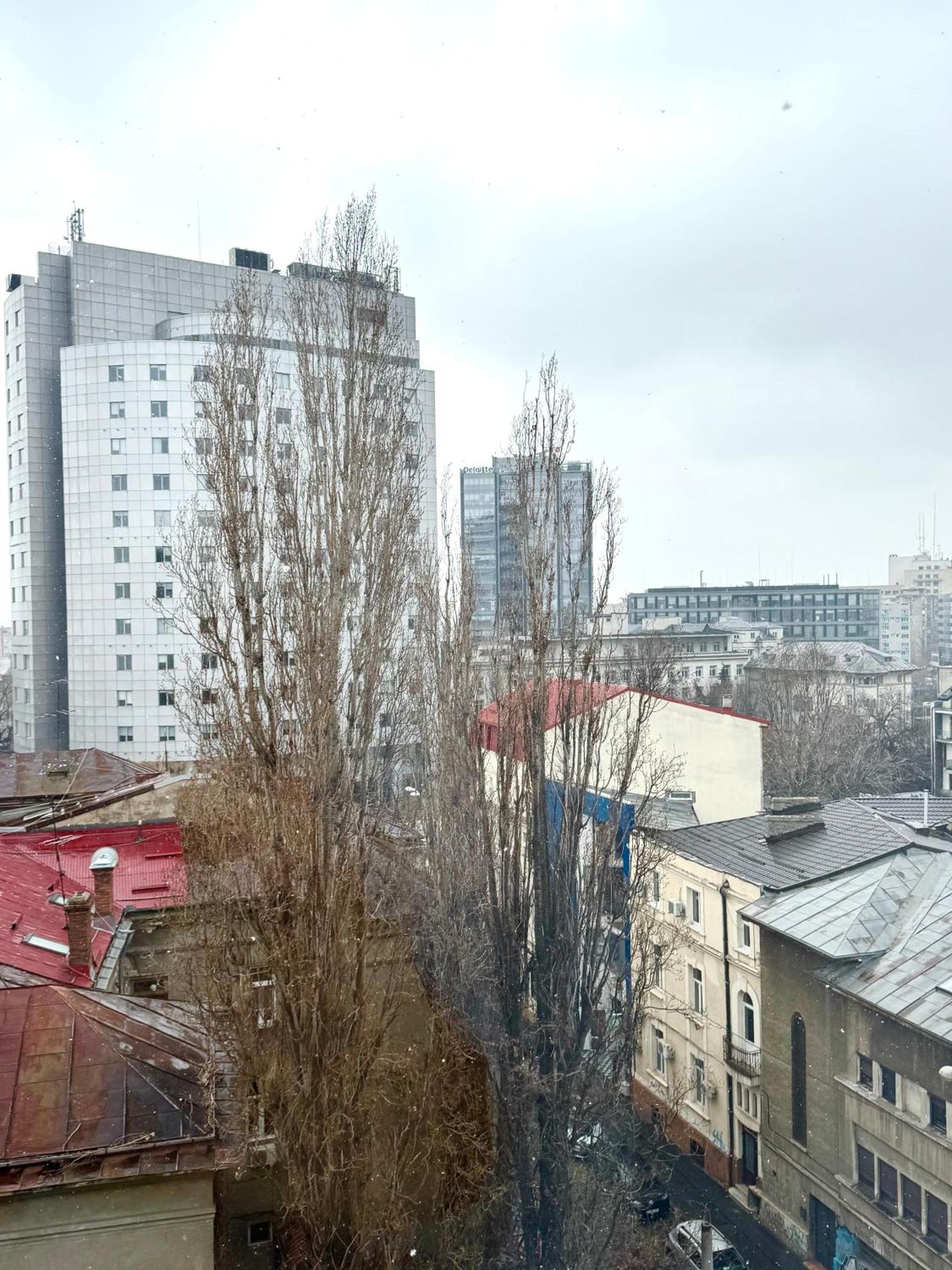 Apartment Moon View - Luxury - Sanador Victoriei