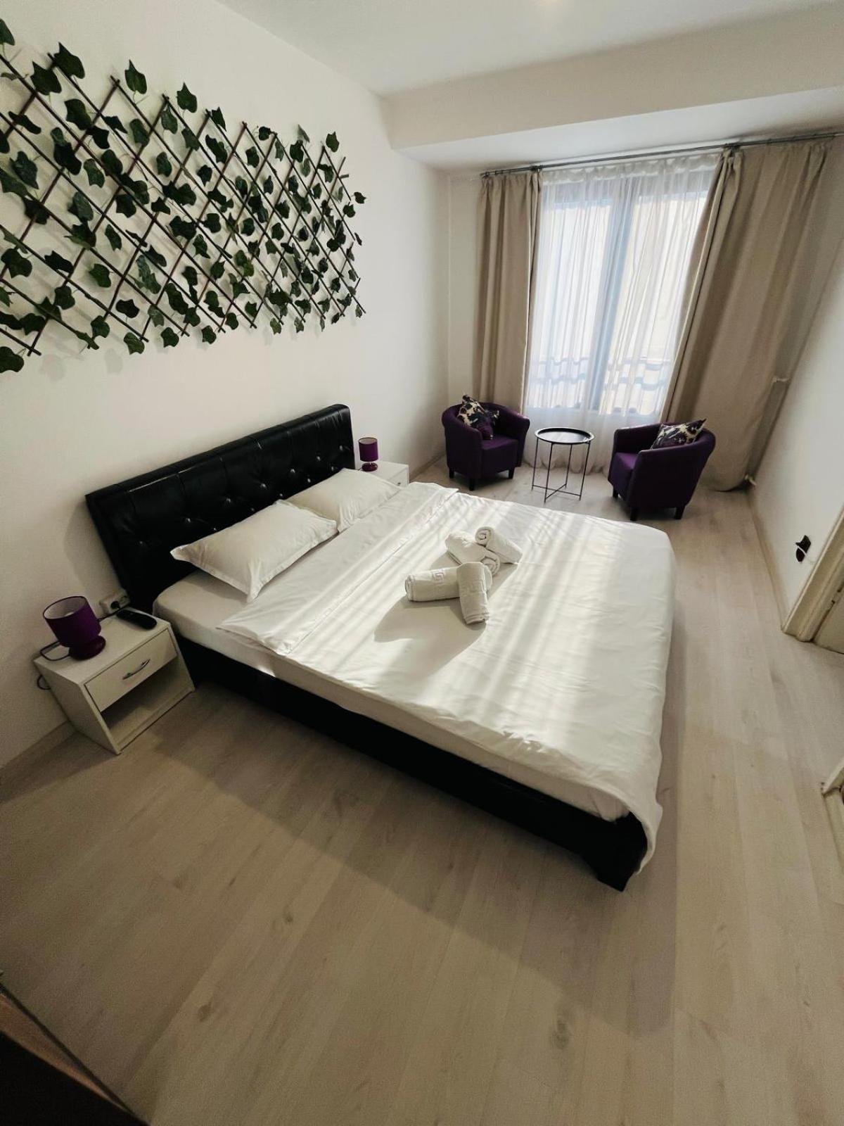 Calea Victoriei Chic Apartamento