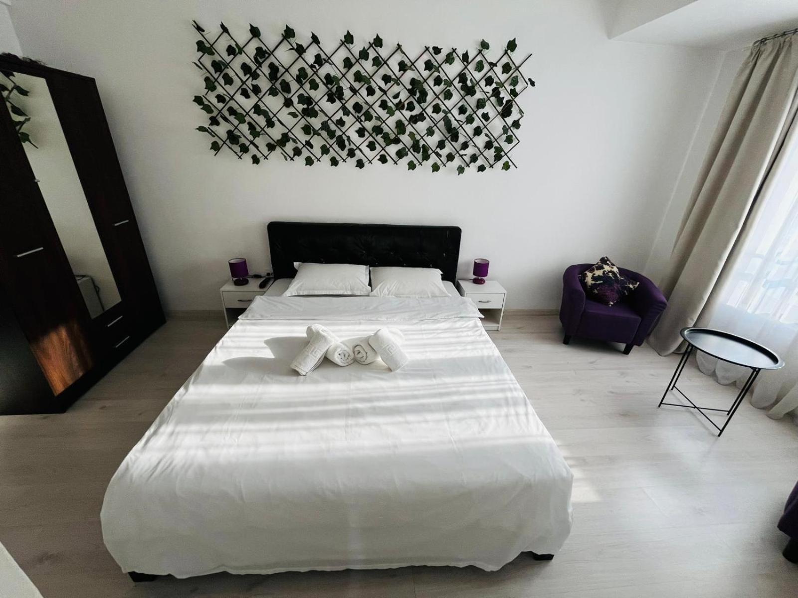 Apartamento Calea Victoriei Chic