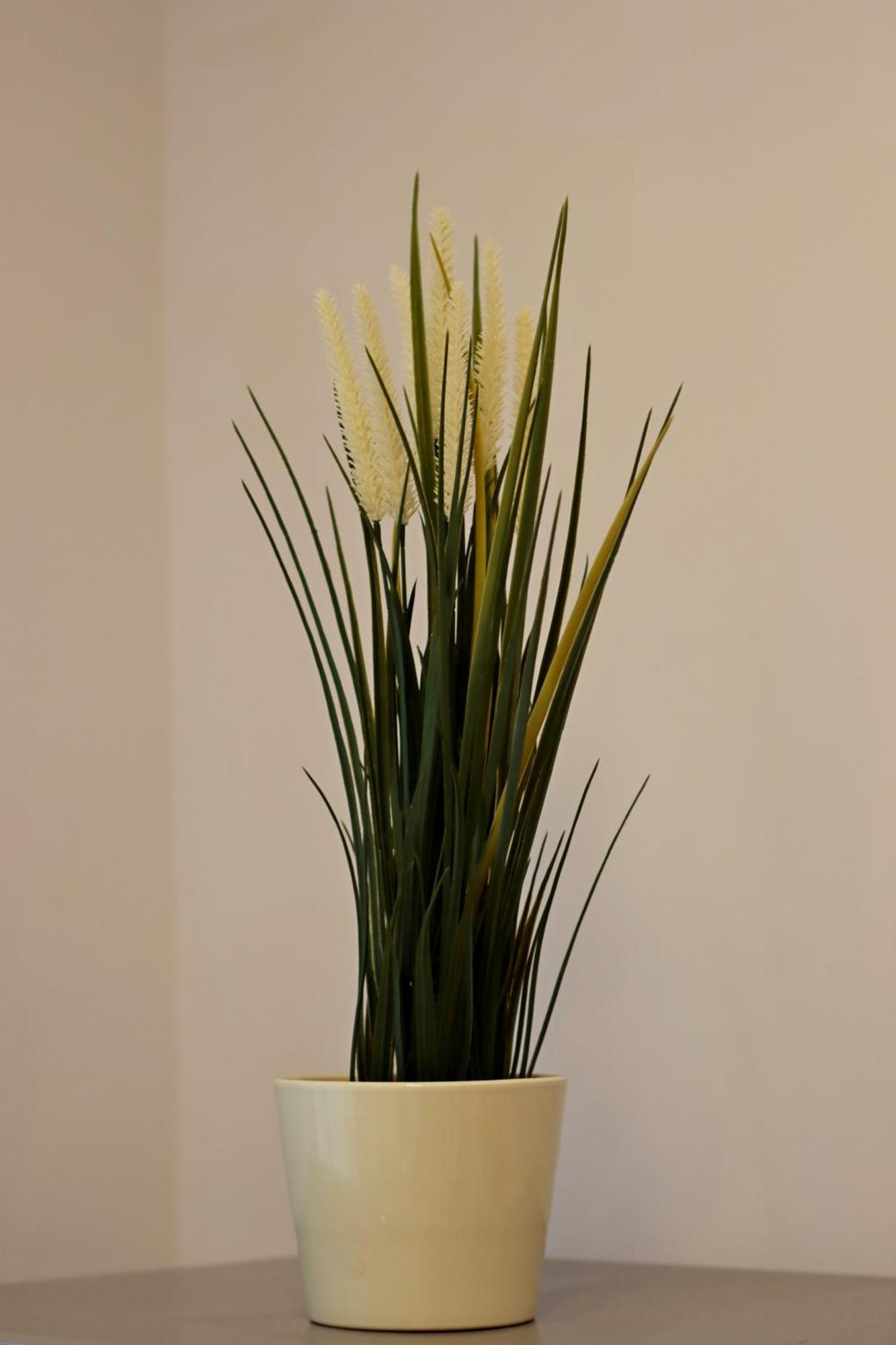 Muse Downtown Apartment