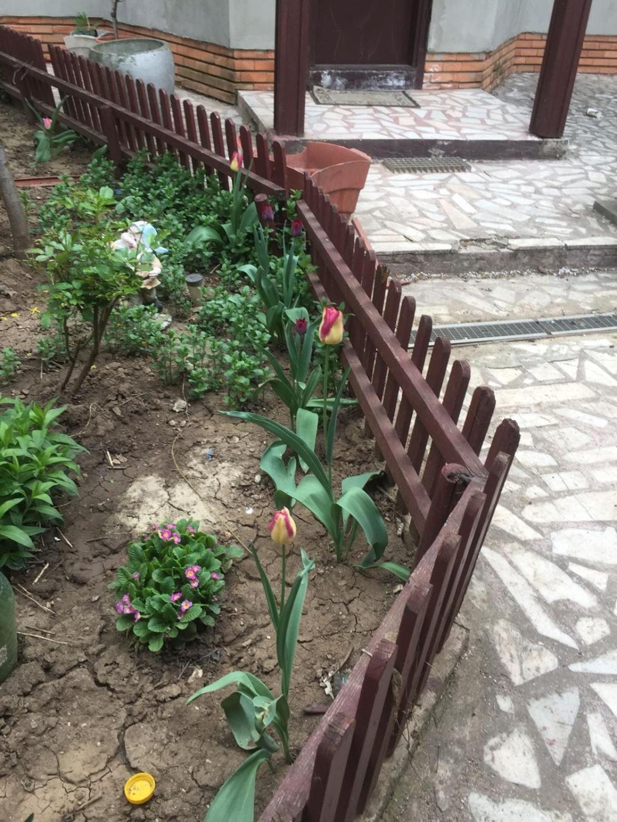 Holiday home Casuta De Vis Bucharest
