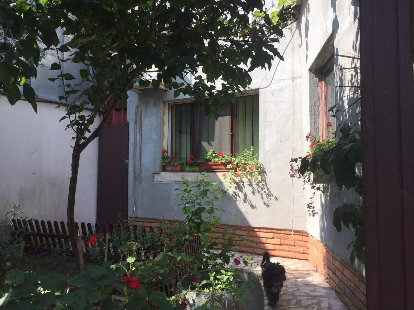Casuta De Vis Holiday home Bucharest