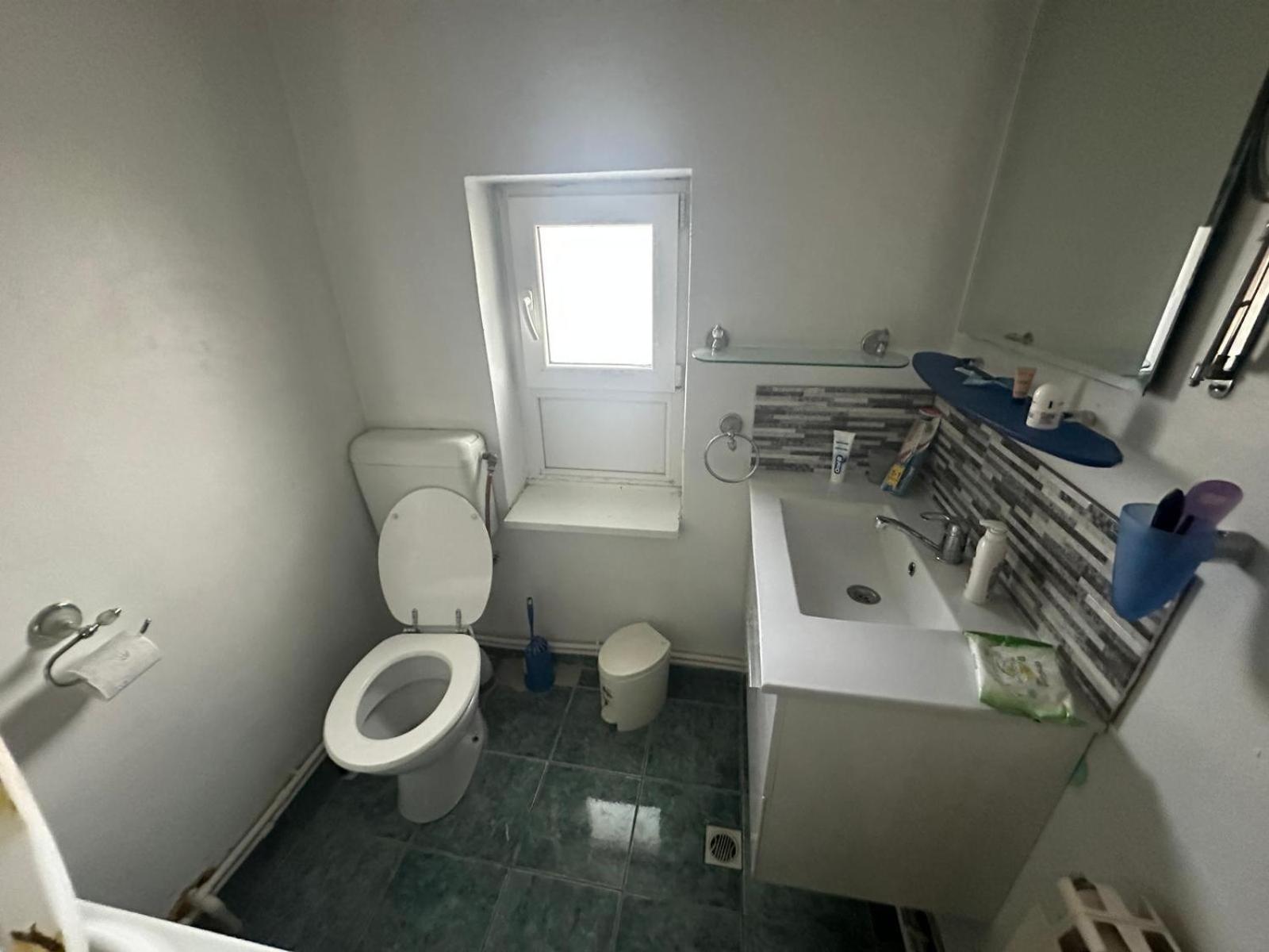Holiday home Casuta De Vis