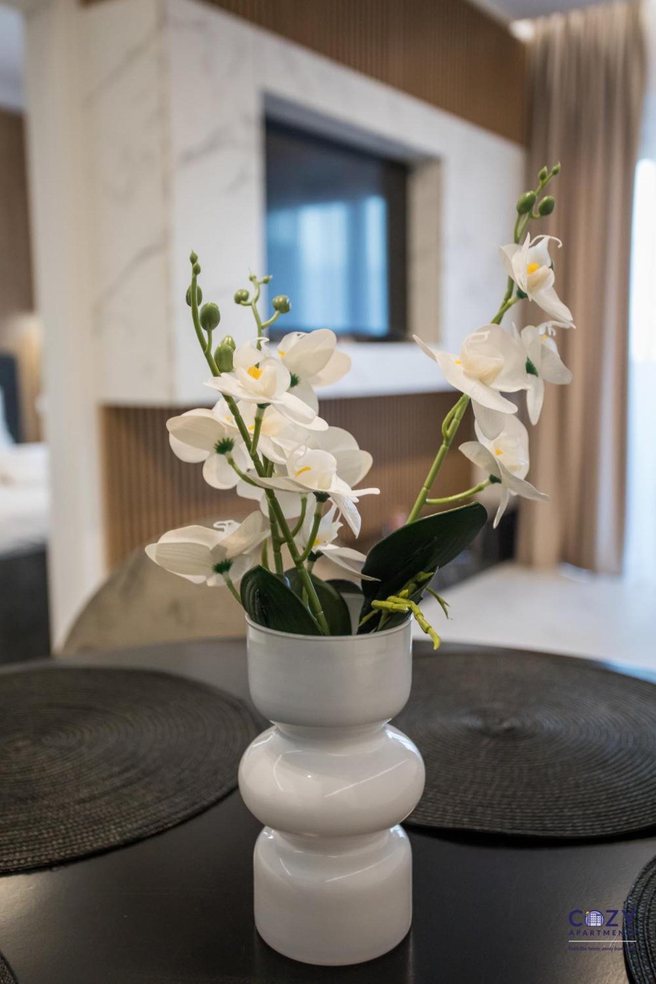 Apartment Address - Cozy Bucharest