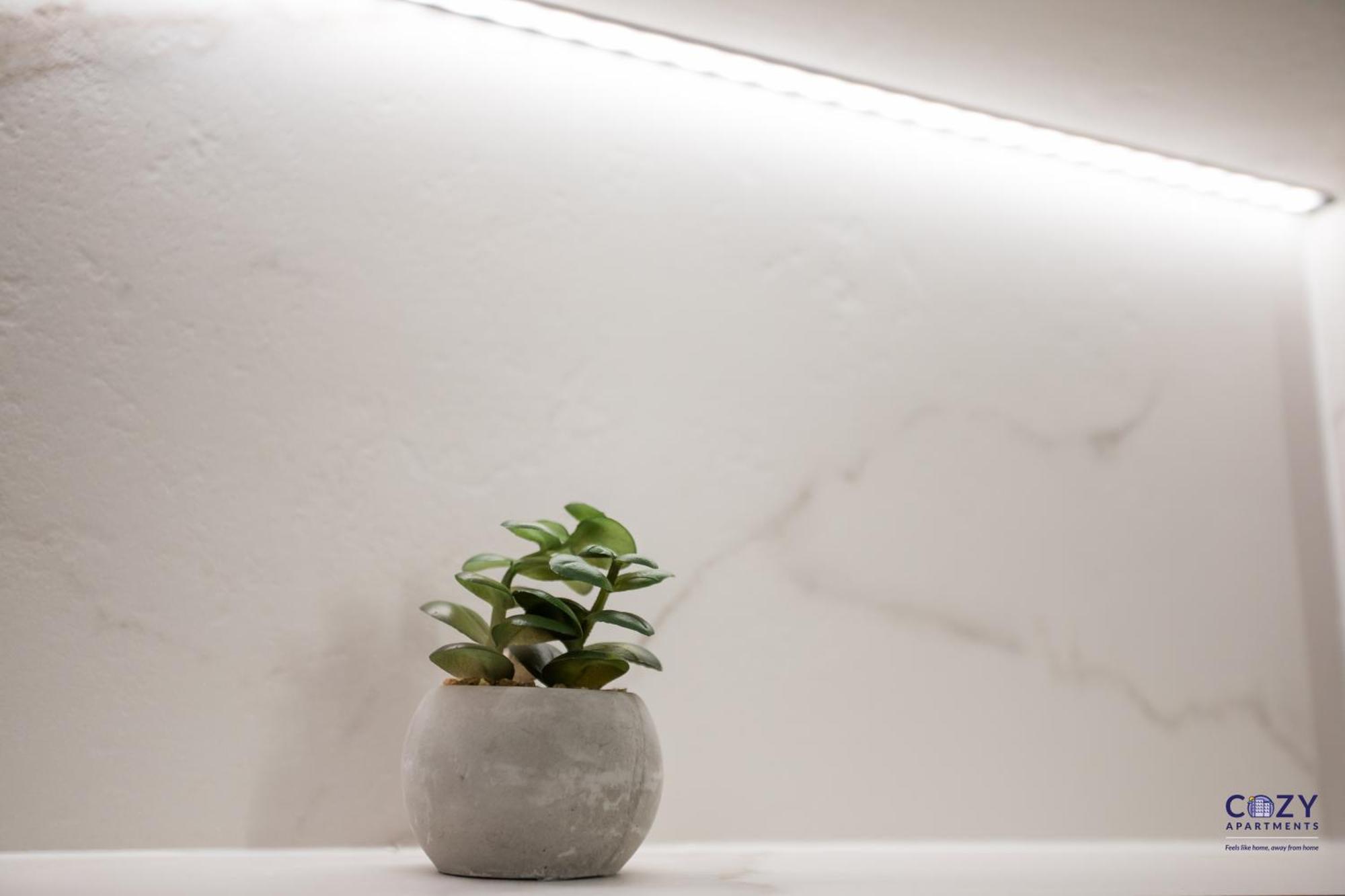 Address - Cozy Apartment