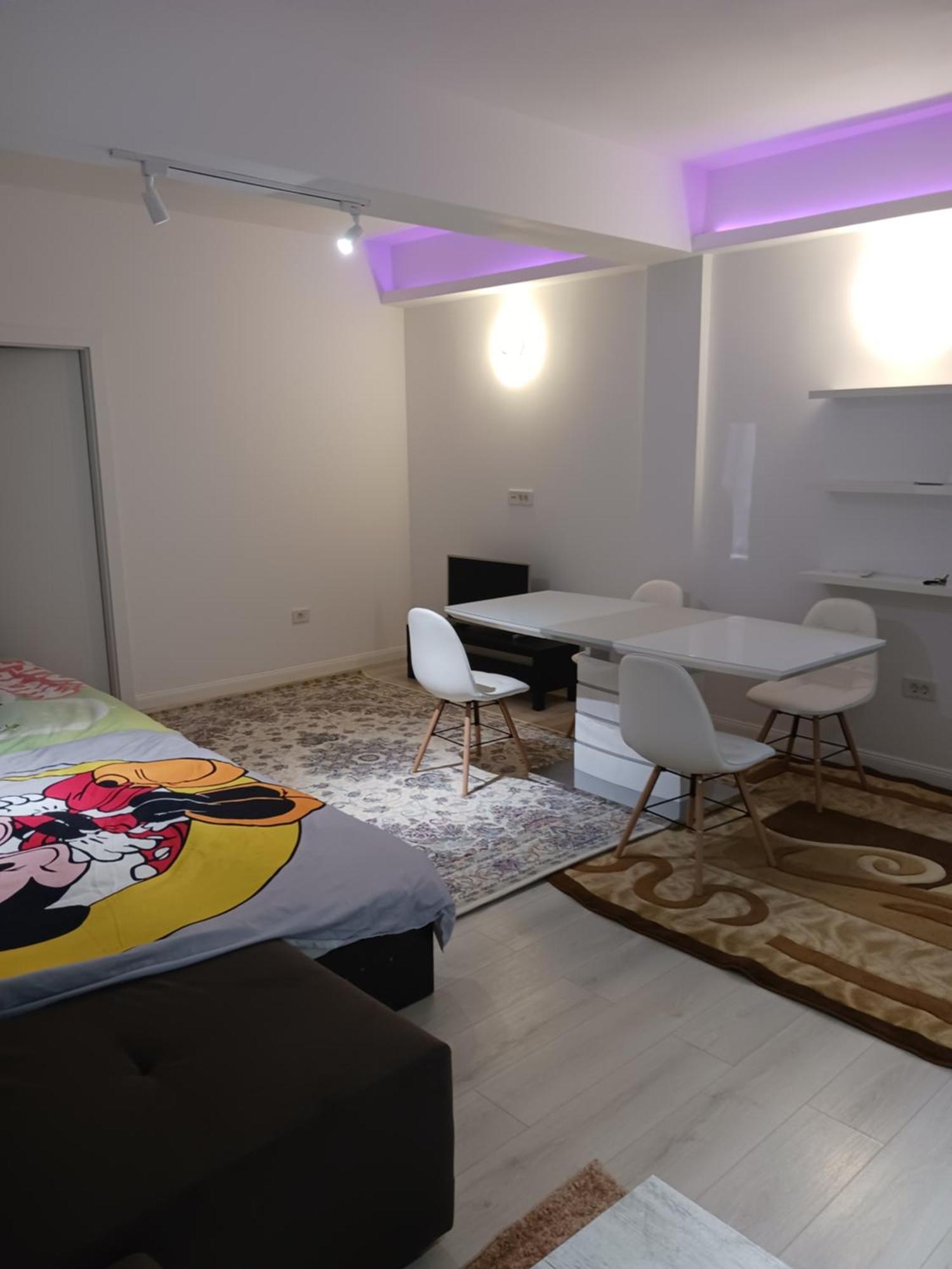 Apartment Myky Mouse Nu Primesc Santieristi Si Petrecareti *