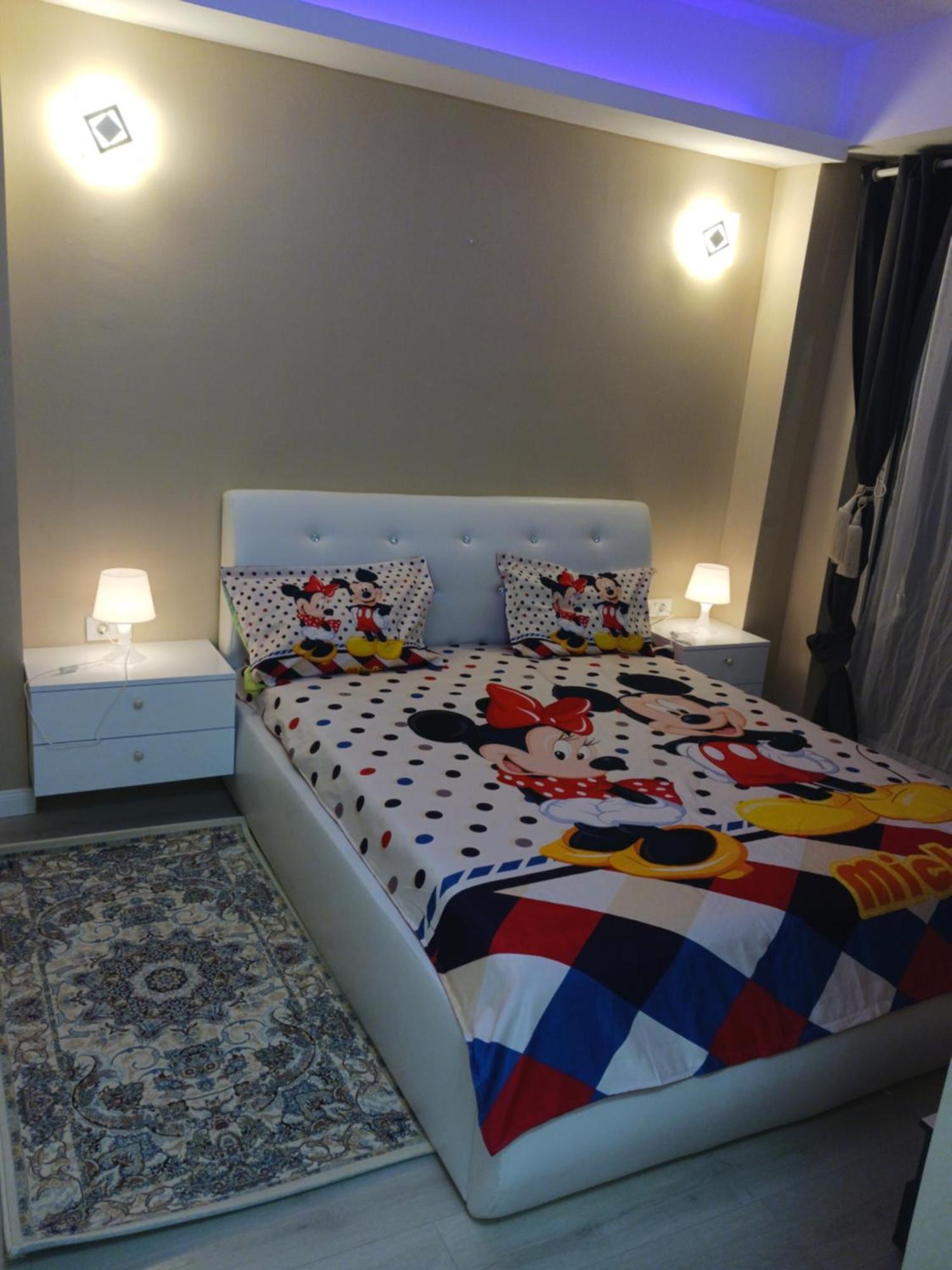 Myky Mouse Nu Primesc Santieristi Si Petrecareti Bucharest
