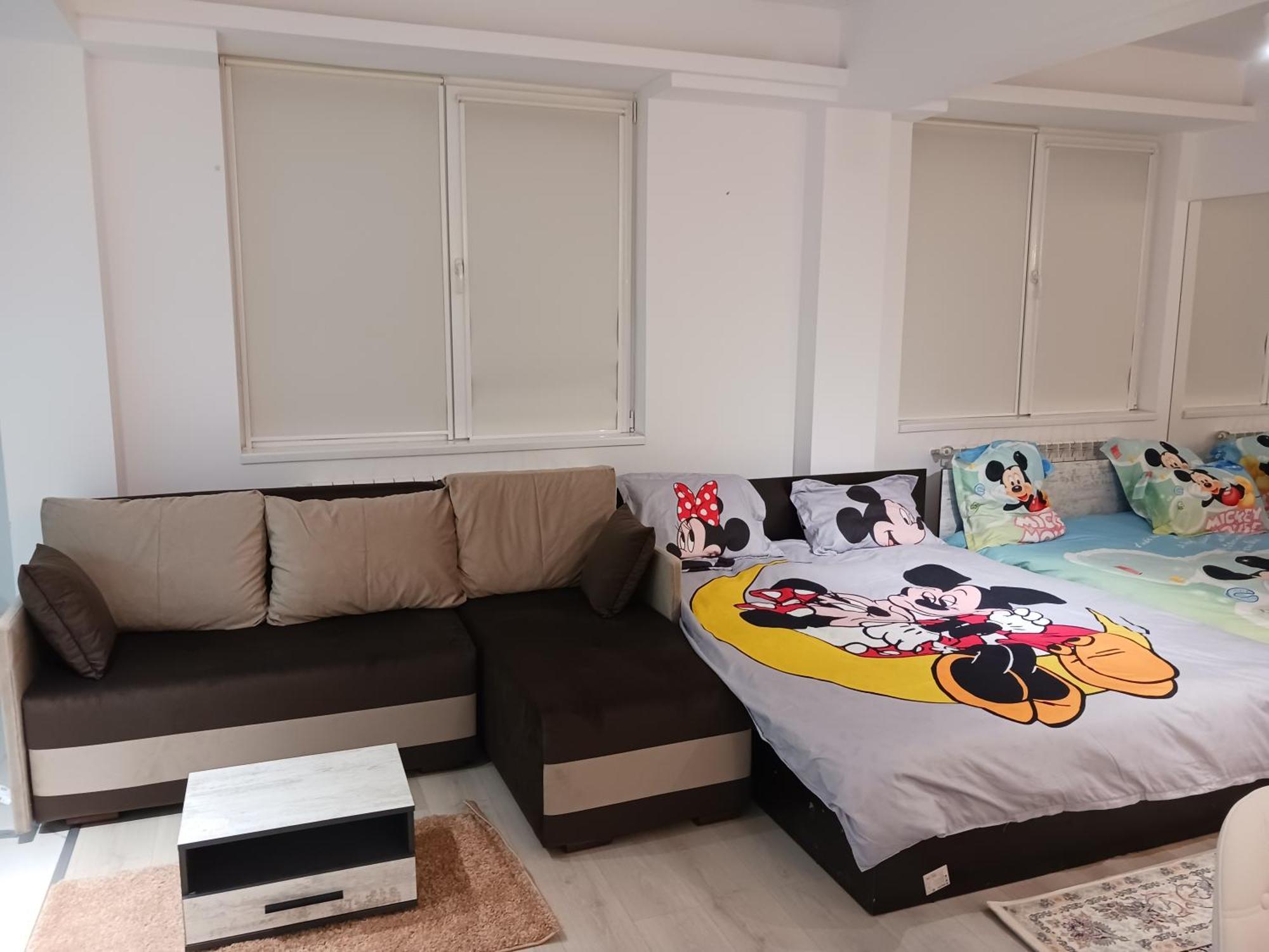 Myky Mouse Nu Primesc Santieristi Si Petrecareti