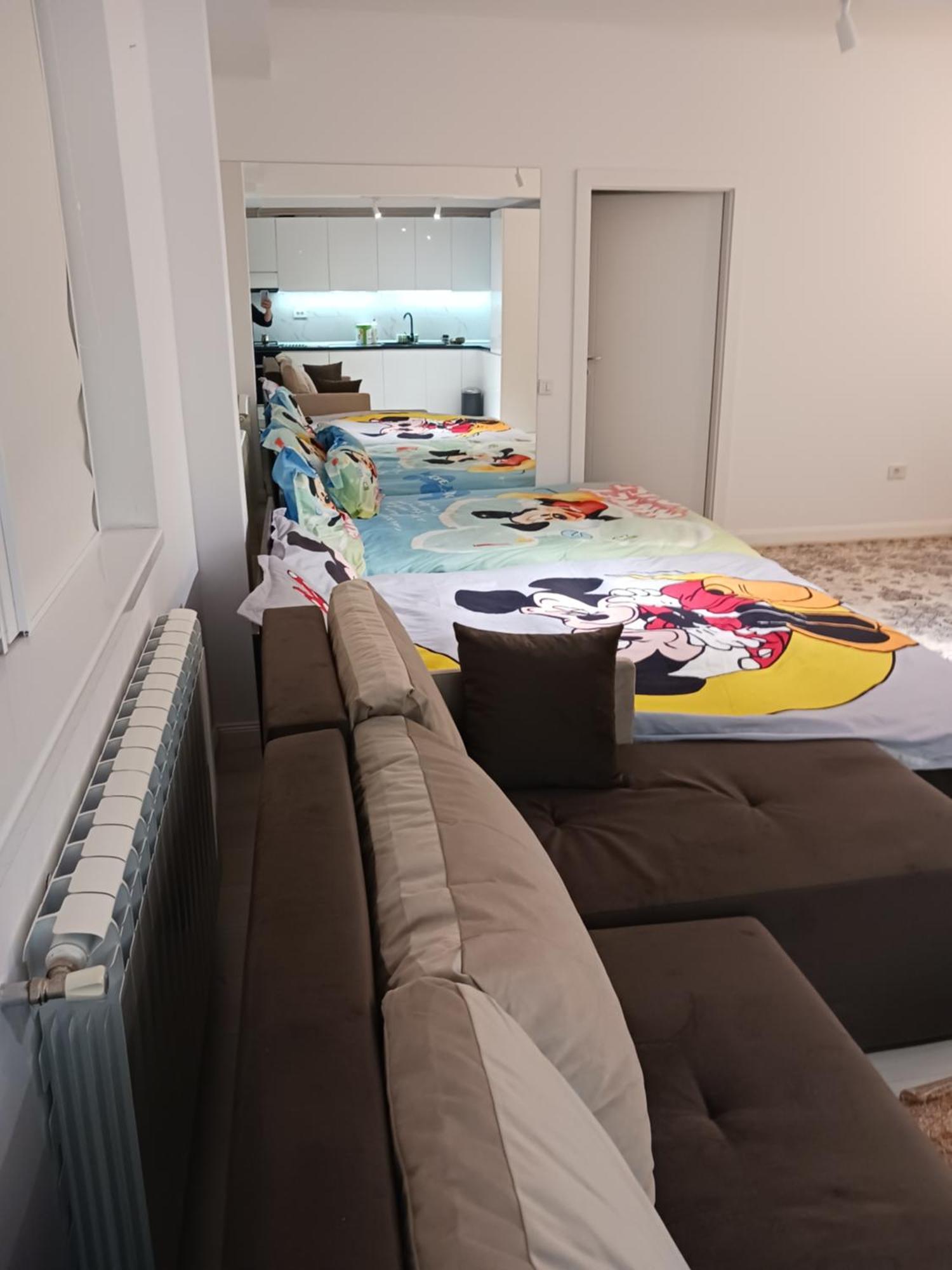 Apartment Myky Mouse Nu Primesc Santieristi Si Petrecareti