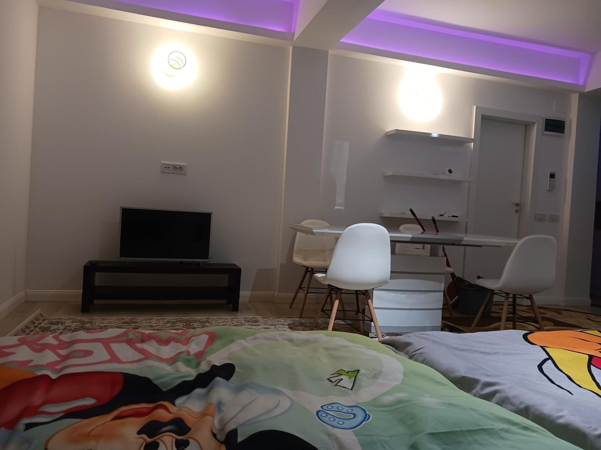 Apartment Myky Mouse Nu Primesc Santieristi Si Petrecareti