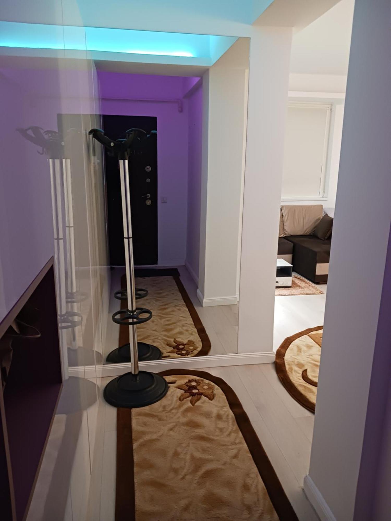 Apartment Myky Mouse Nu Primesc Santieristi Si Petrecareti