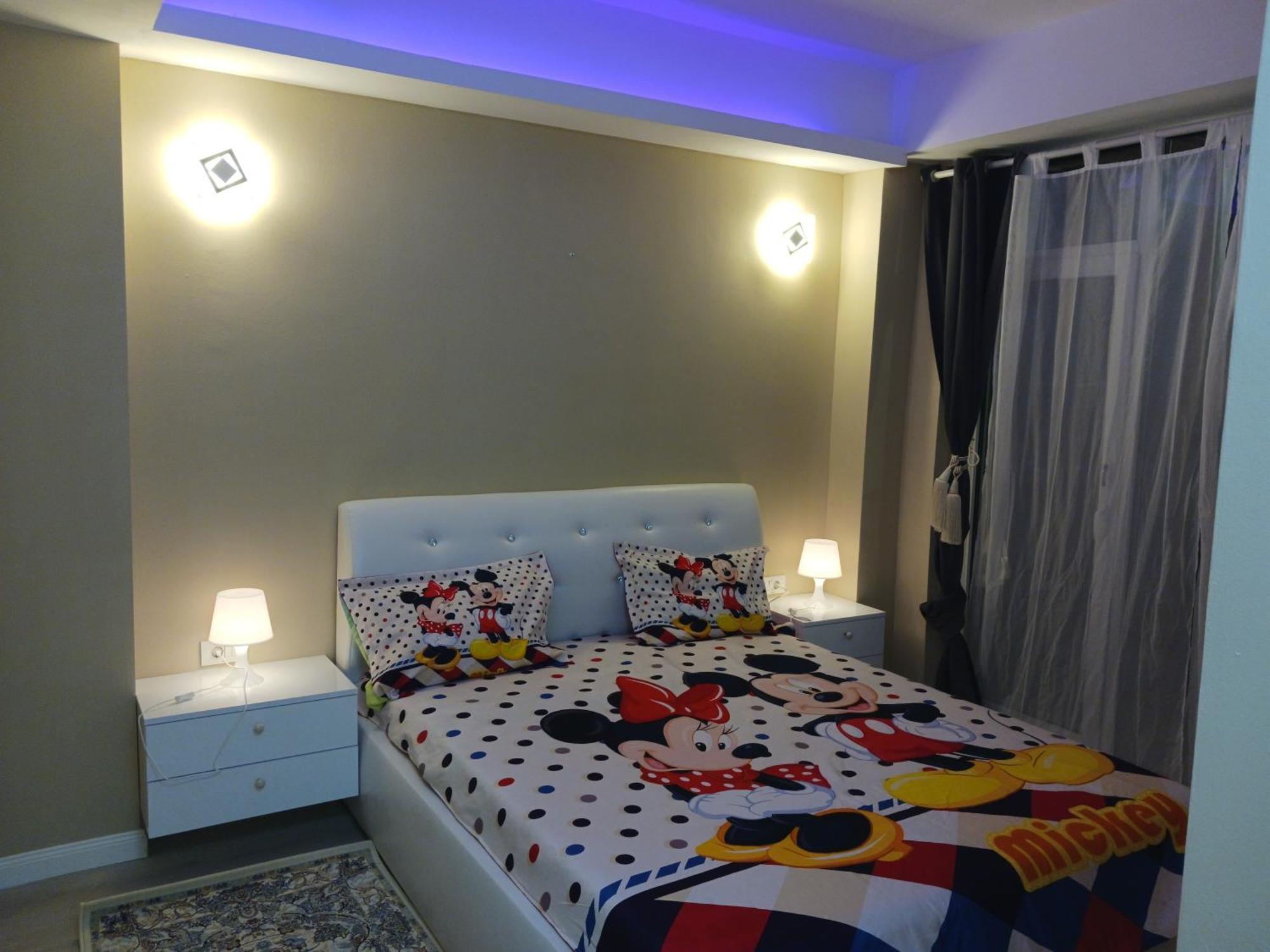 Myky Mouse Nu Primesc Santieristi Si Petrecareti Apartment Bucharest