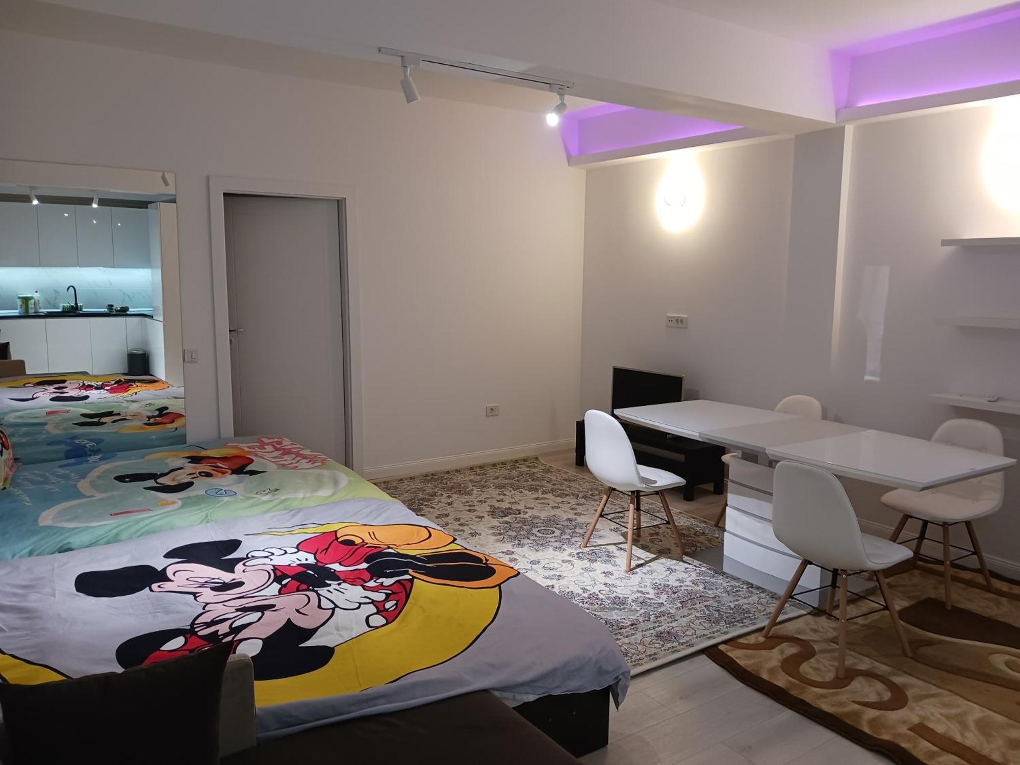 Apartment Myky Mouse Nu Primesc Santieristi Si Petrecareti Bucharest